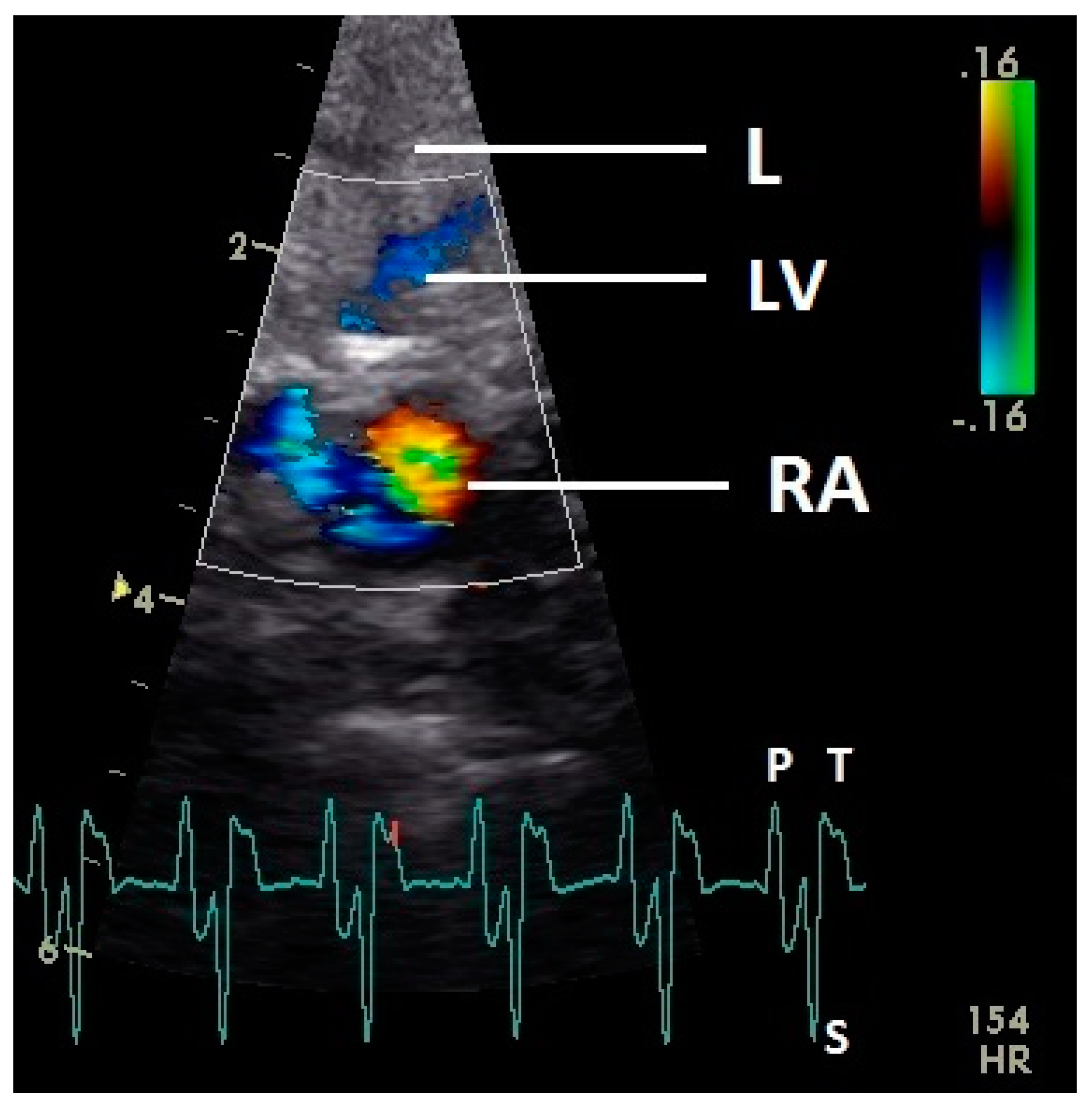 Vetsci 07 00060 g009