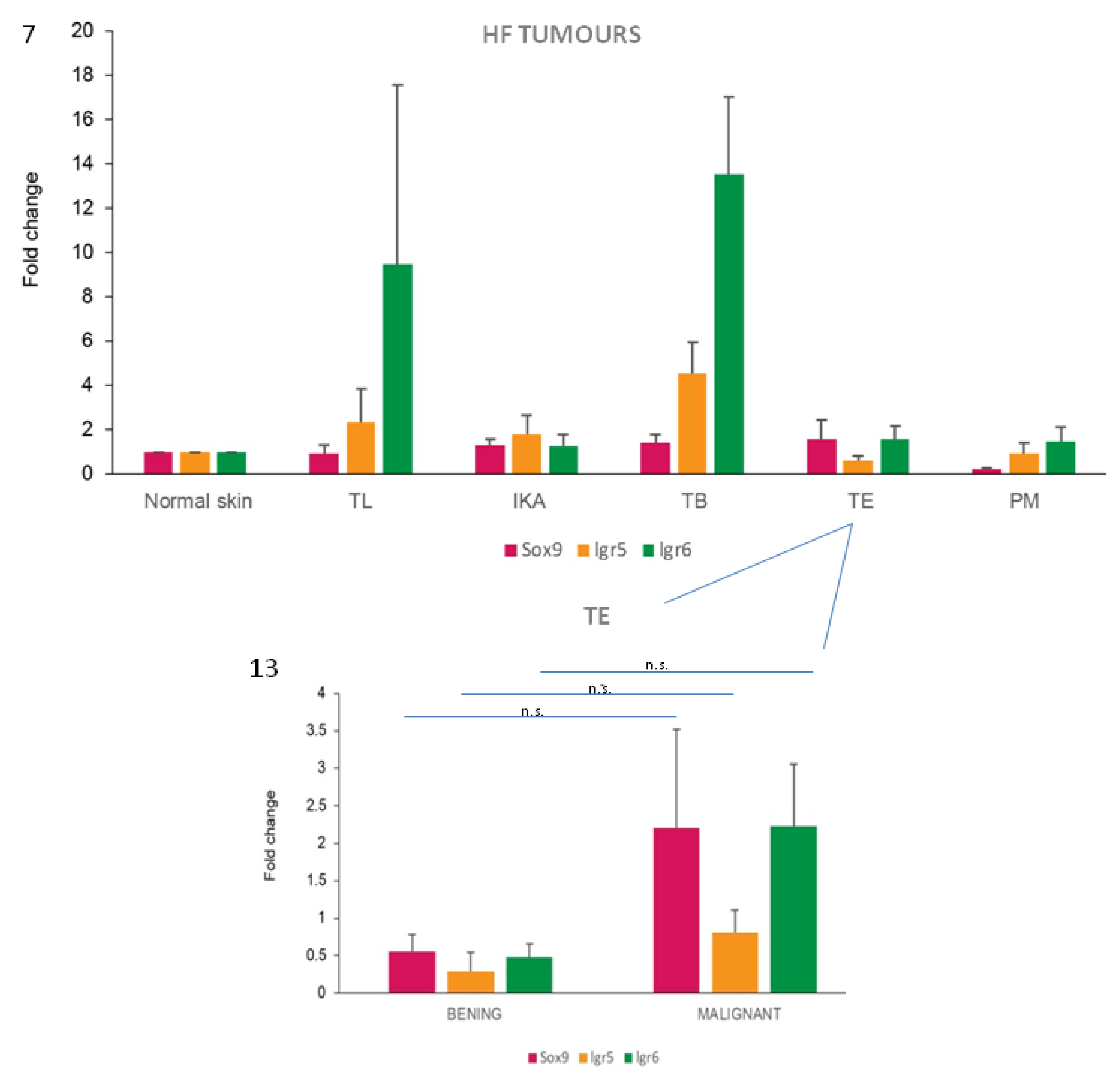 Vetsci 07 00062 g007 Vetsci 07 00062 g007