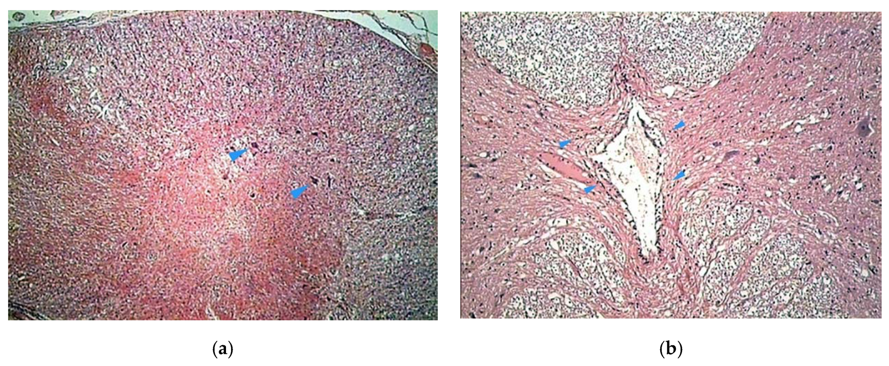 Vetsci 07 00068 g002