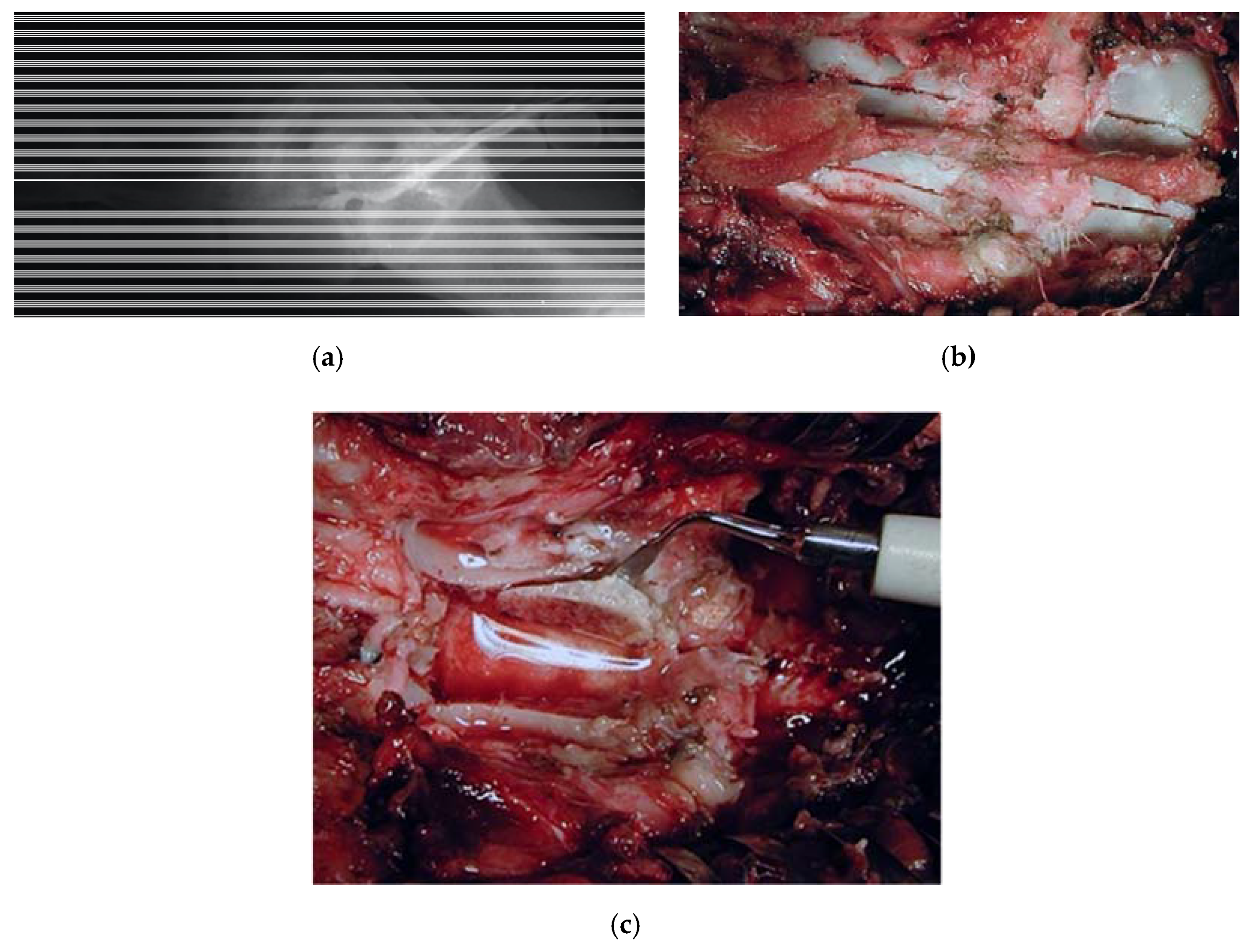 Vetsci 07 00068 g004