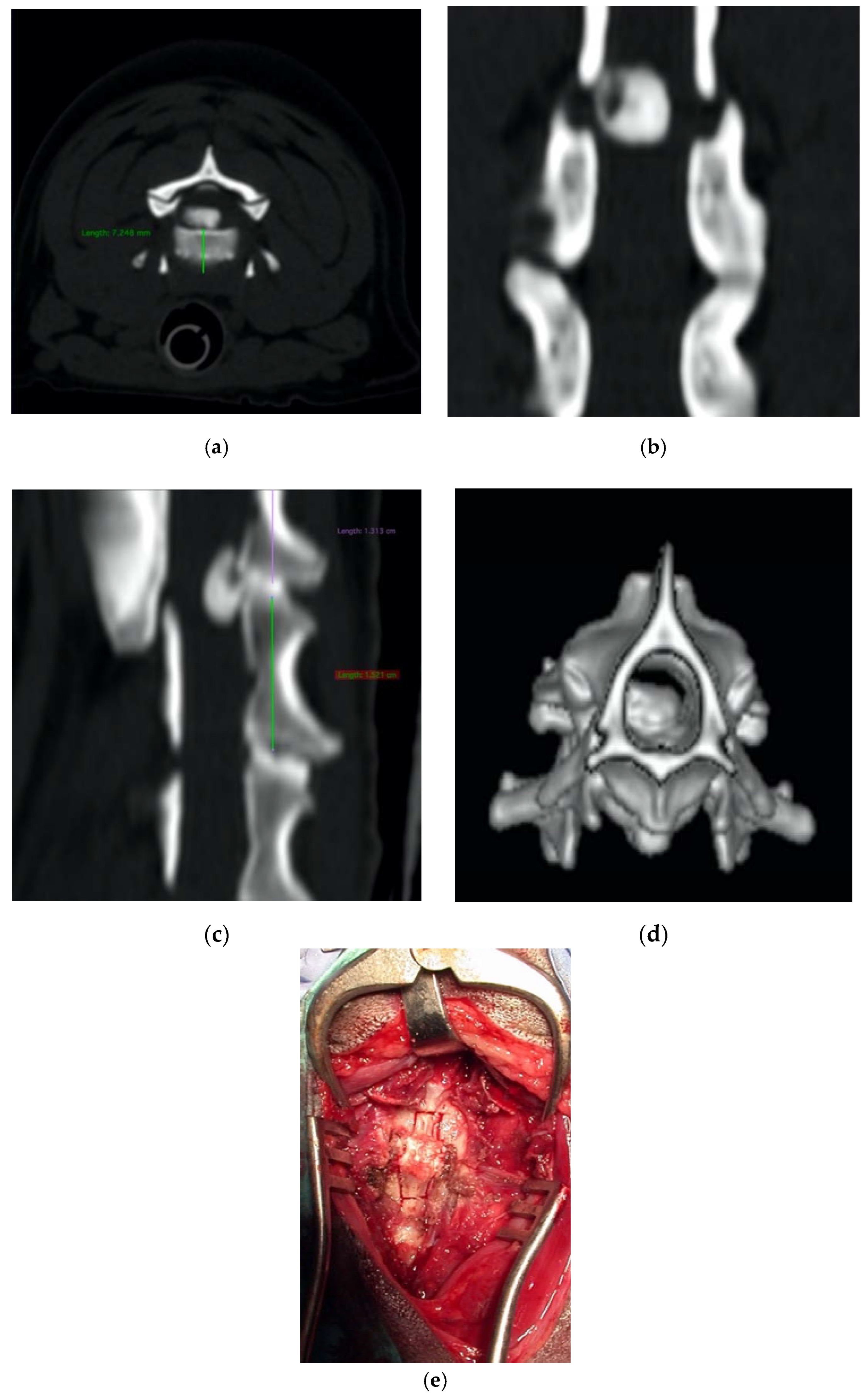 Vetsci 07 00068 g007