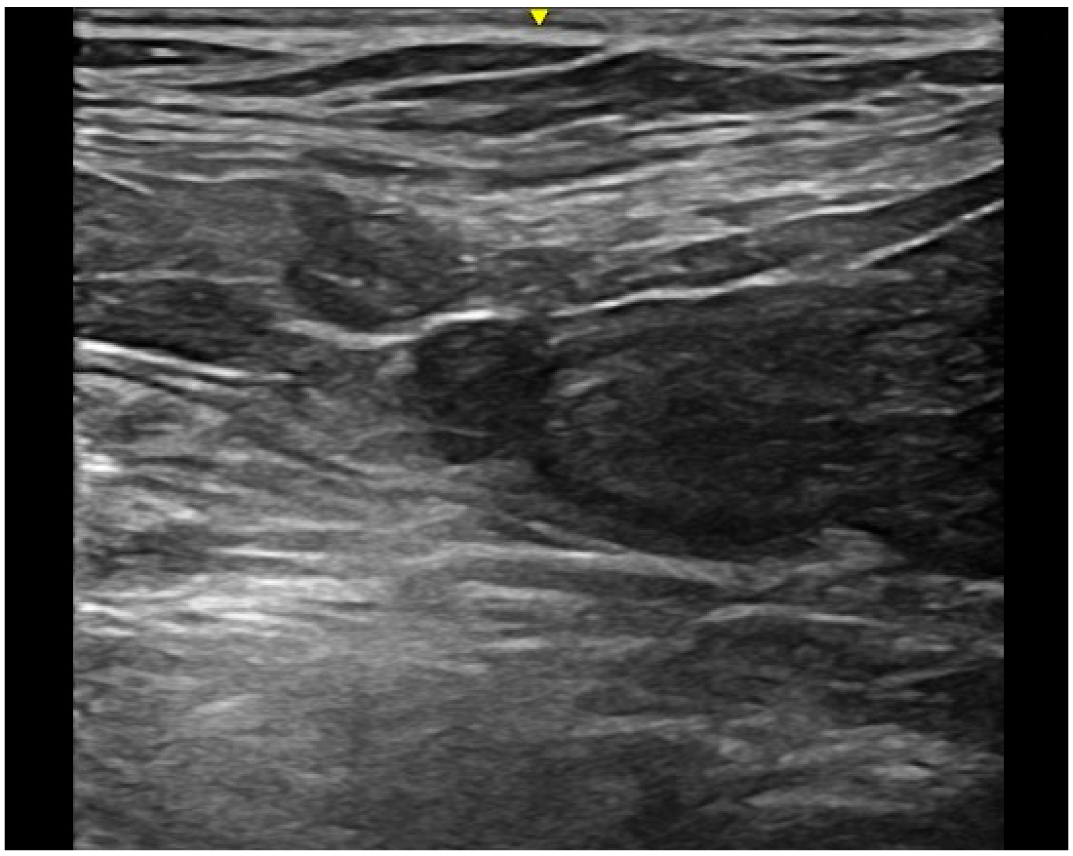 Vetsci 07 00084 g004