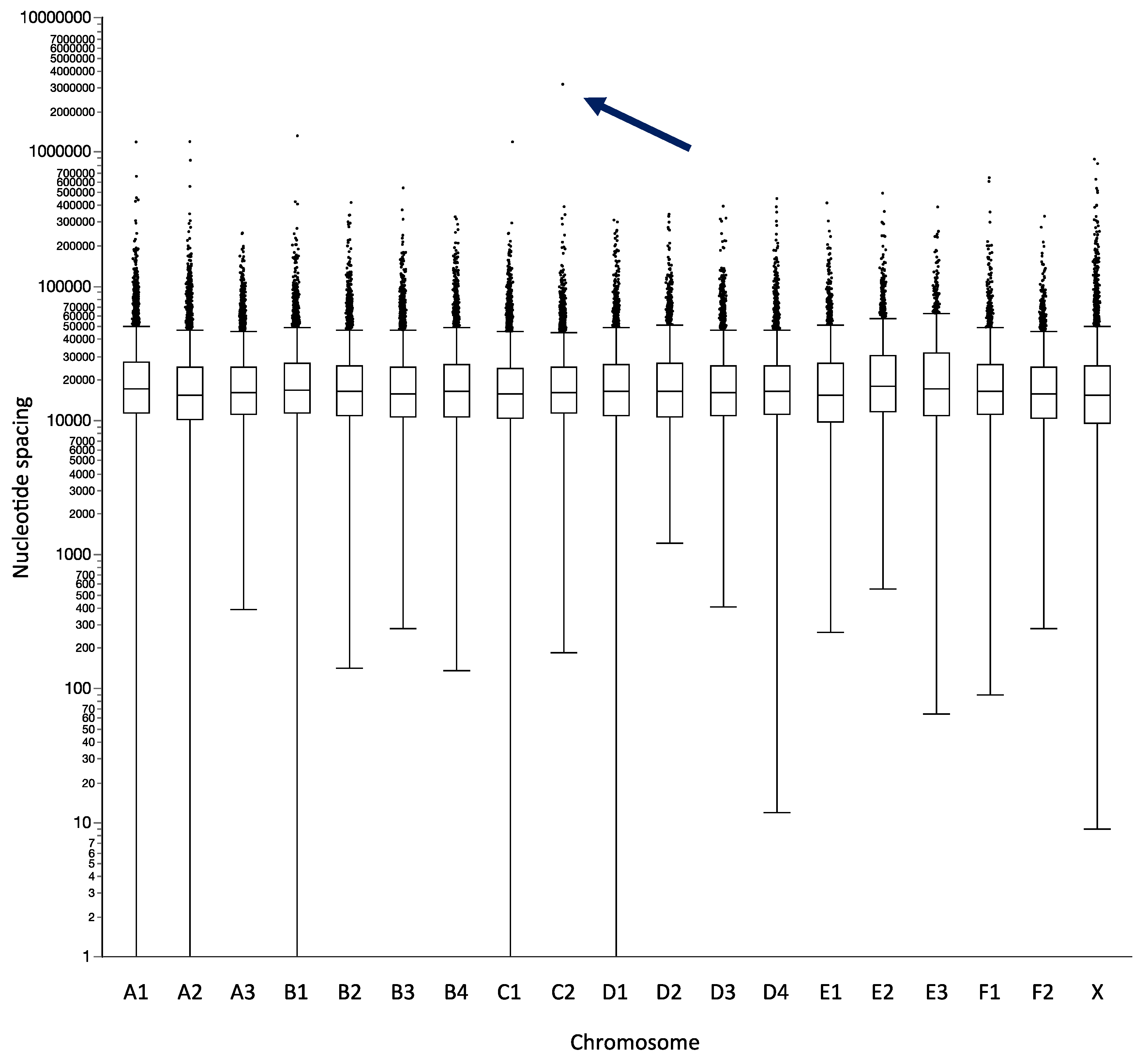 Vetsci 07 00088 g001
