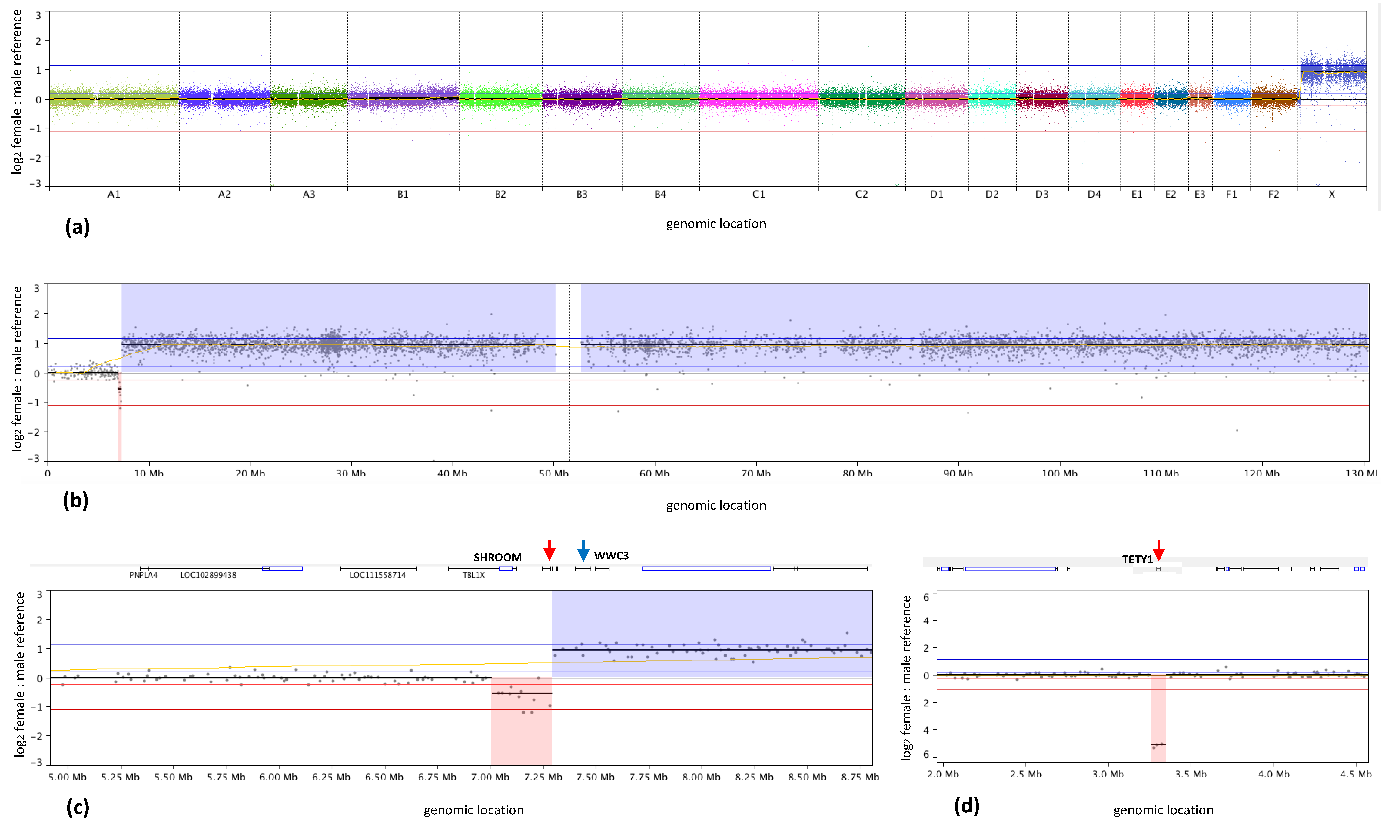 Vetsci 07 00088 g002