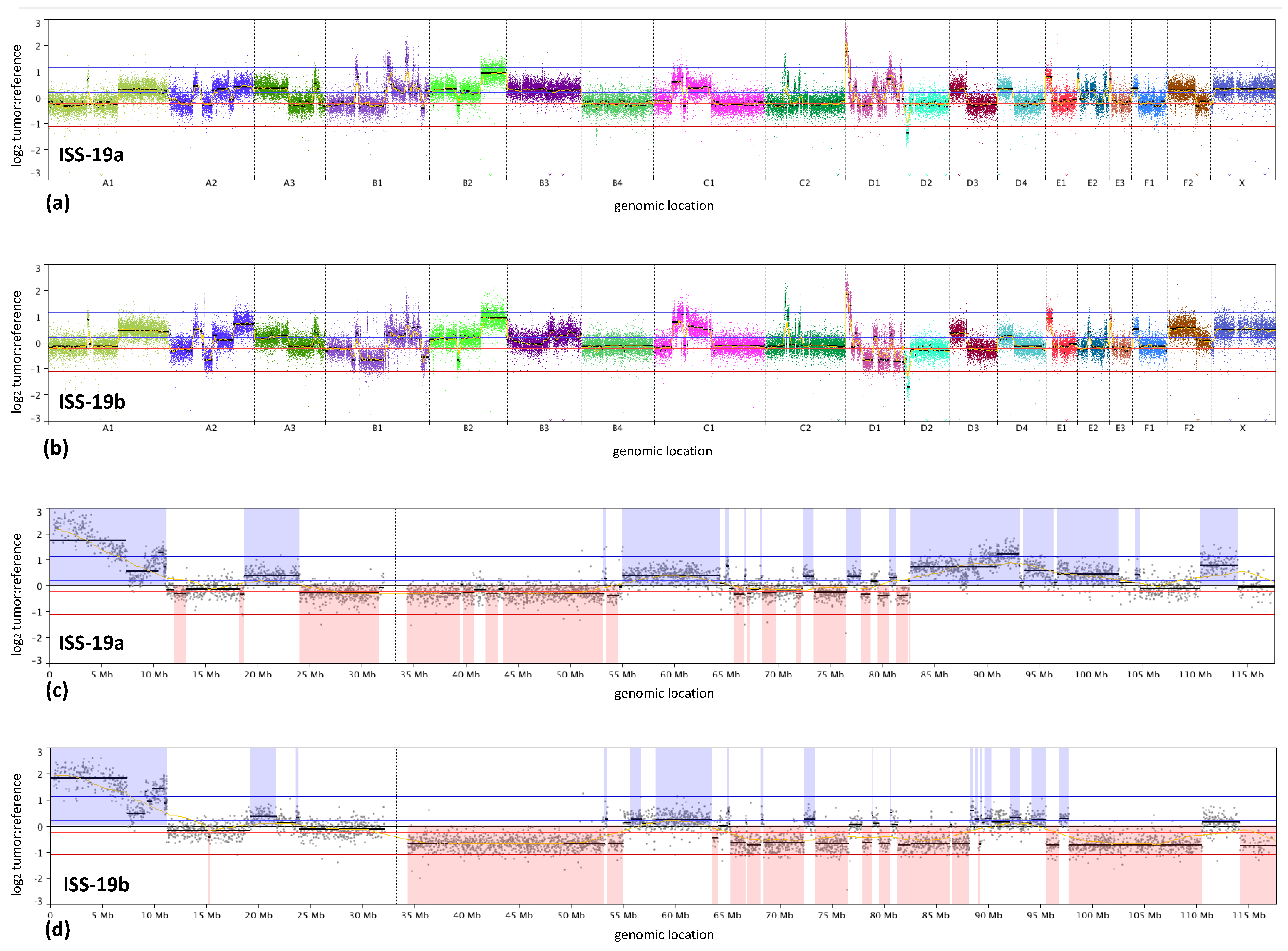 Vetsci 07 00088 g004