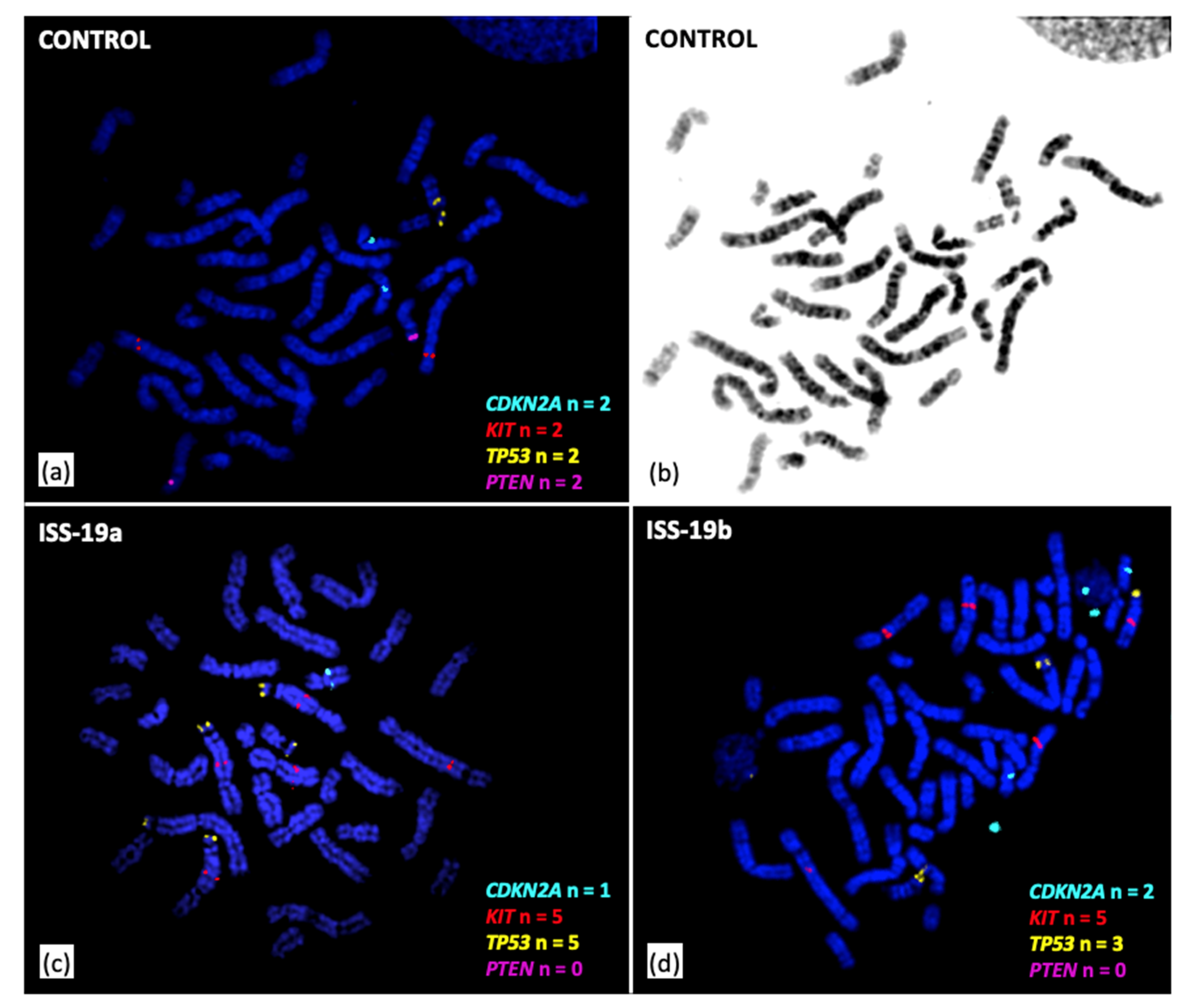 Vetsci 07 00088 g005
