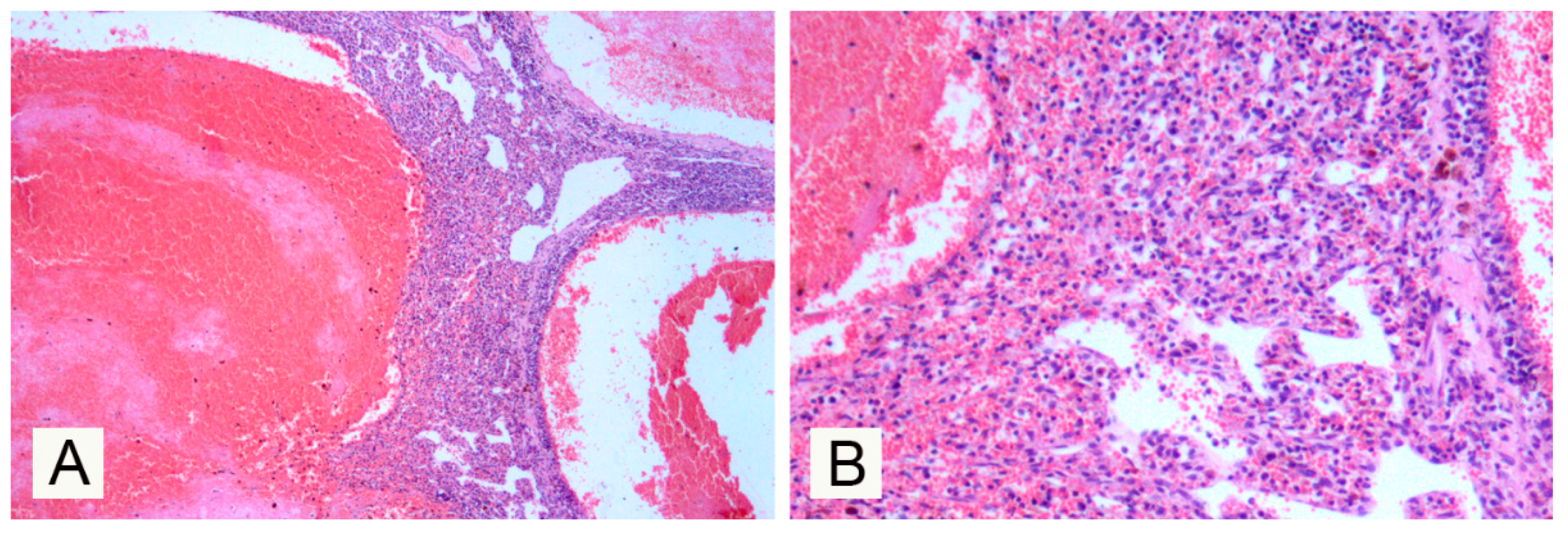 Vetsci 07 00102 g002