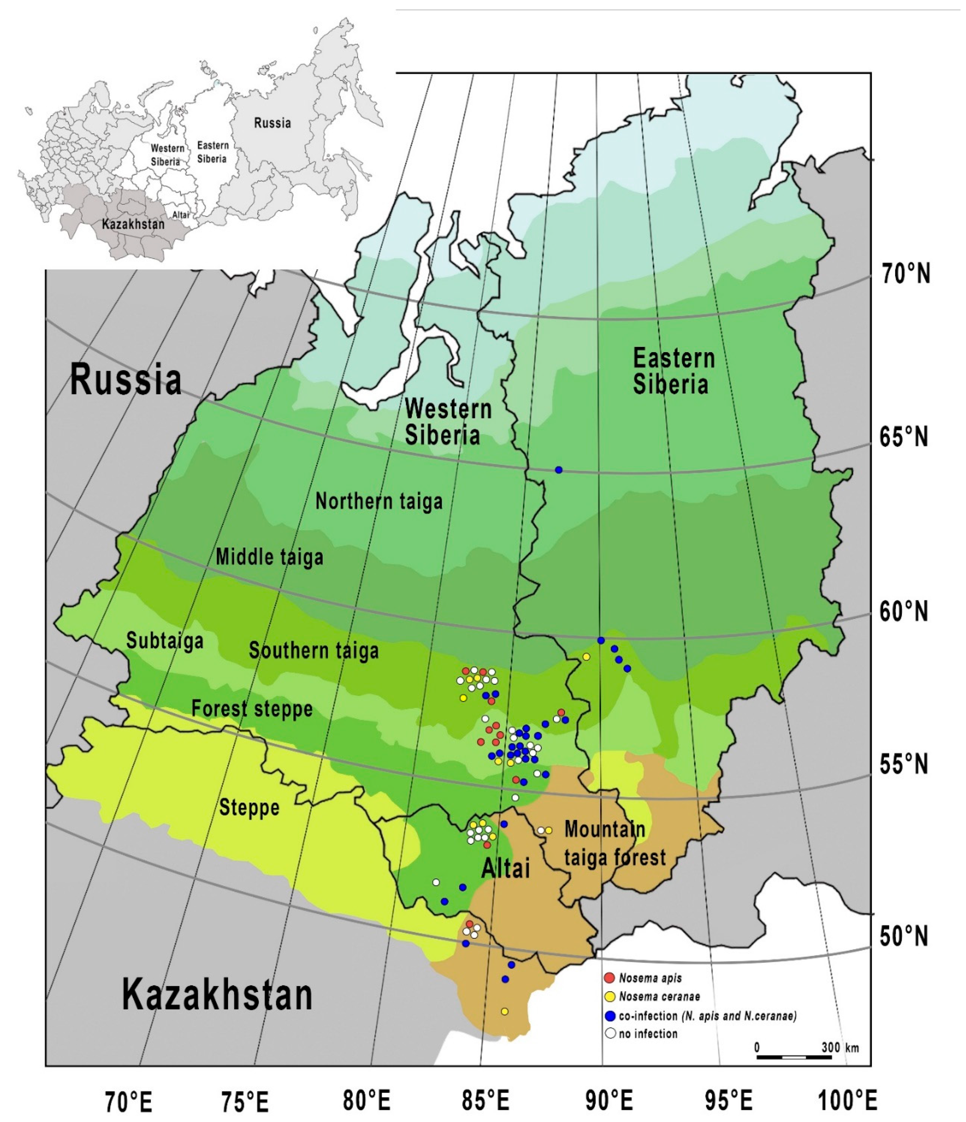 Vetsci 07 00111 g002