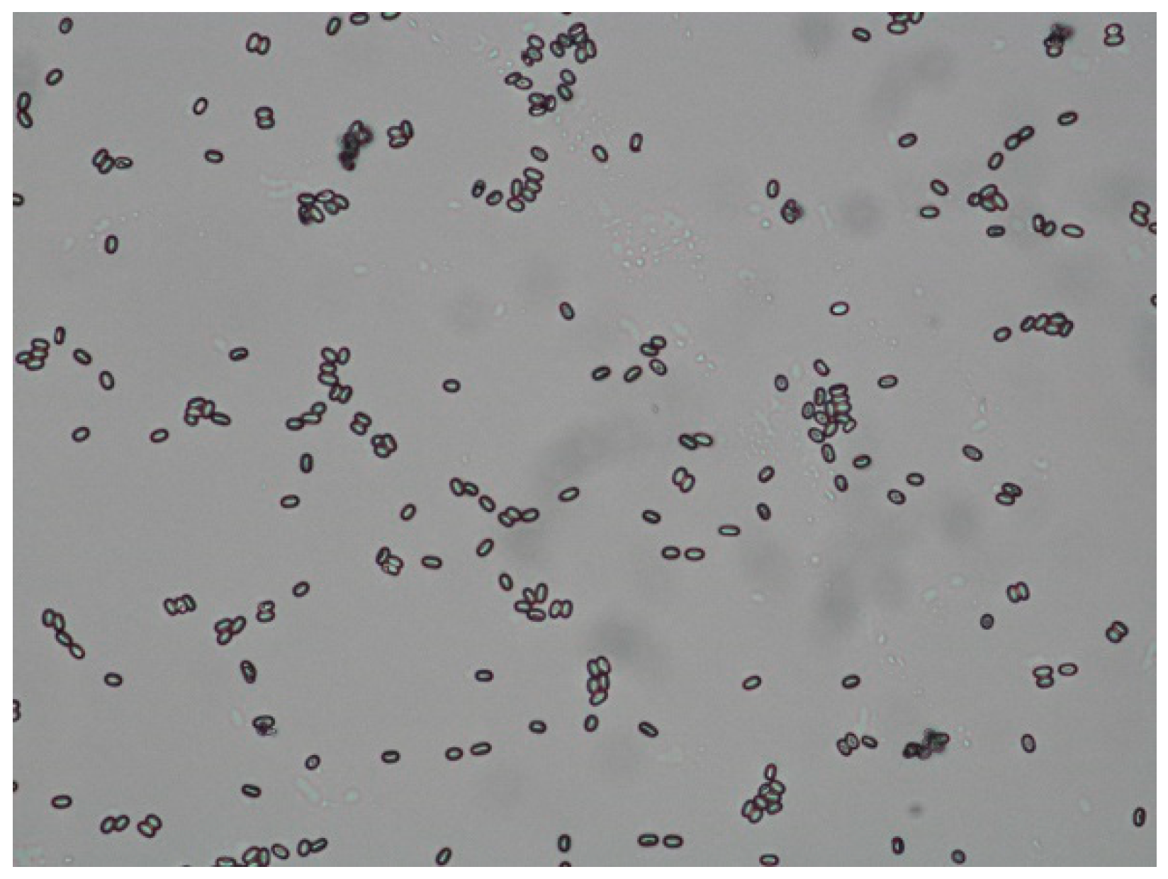 Vetsci 07 00142 g005