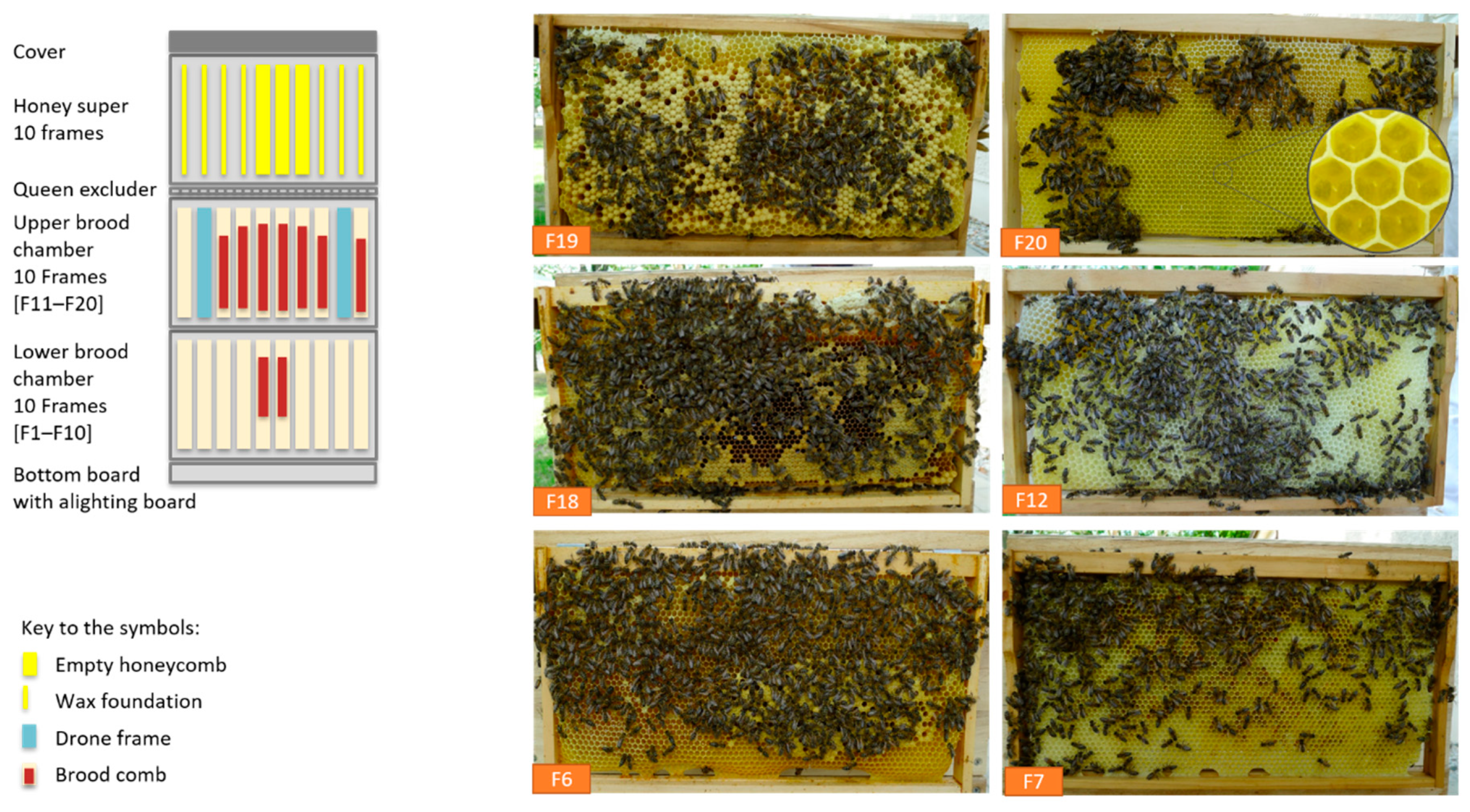 Vetsci 07 00142 g006