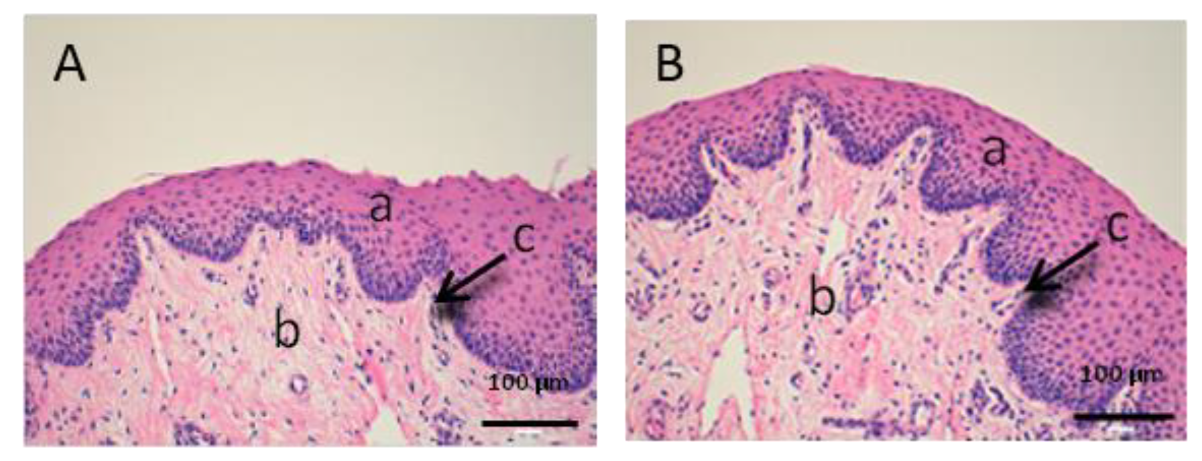 Vetsci 07 00152 g006 Vetsci 07 00152 g006