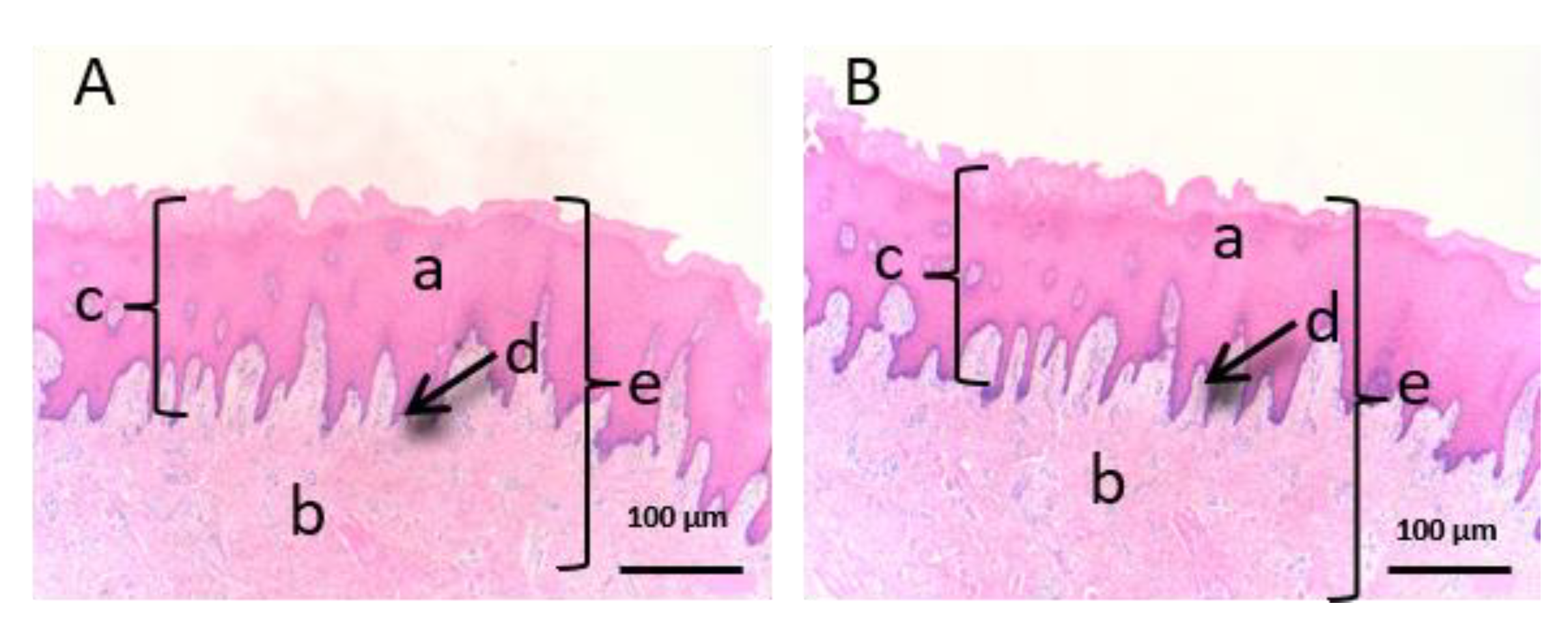Vetsci 07 00152 g007 Vetsci 07 00152 g007