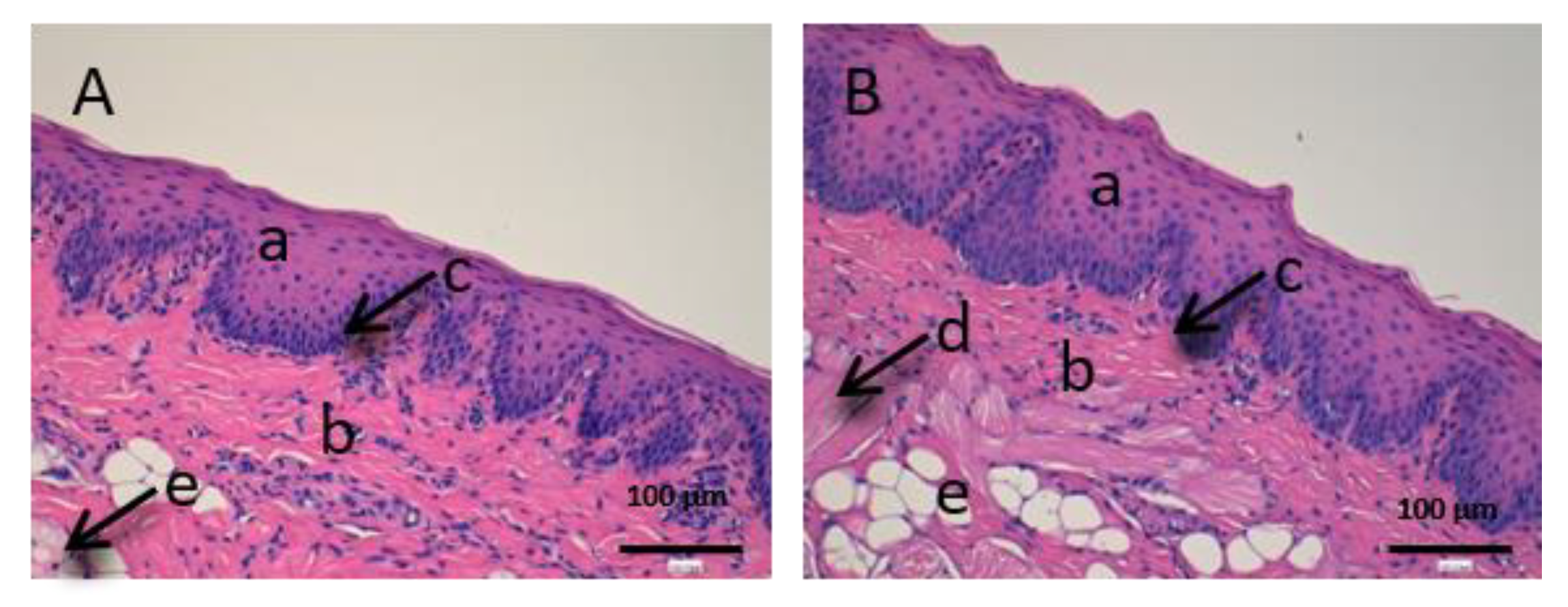 Vetsci 07 00152 g008 Vetsci 07 00152 g008