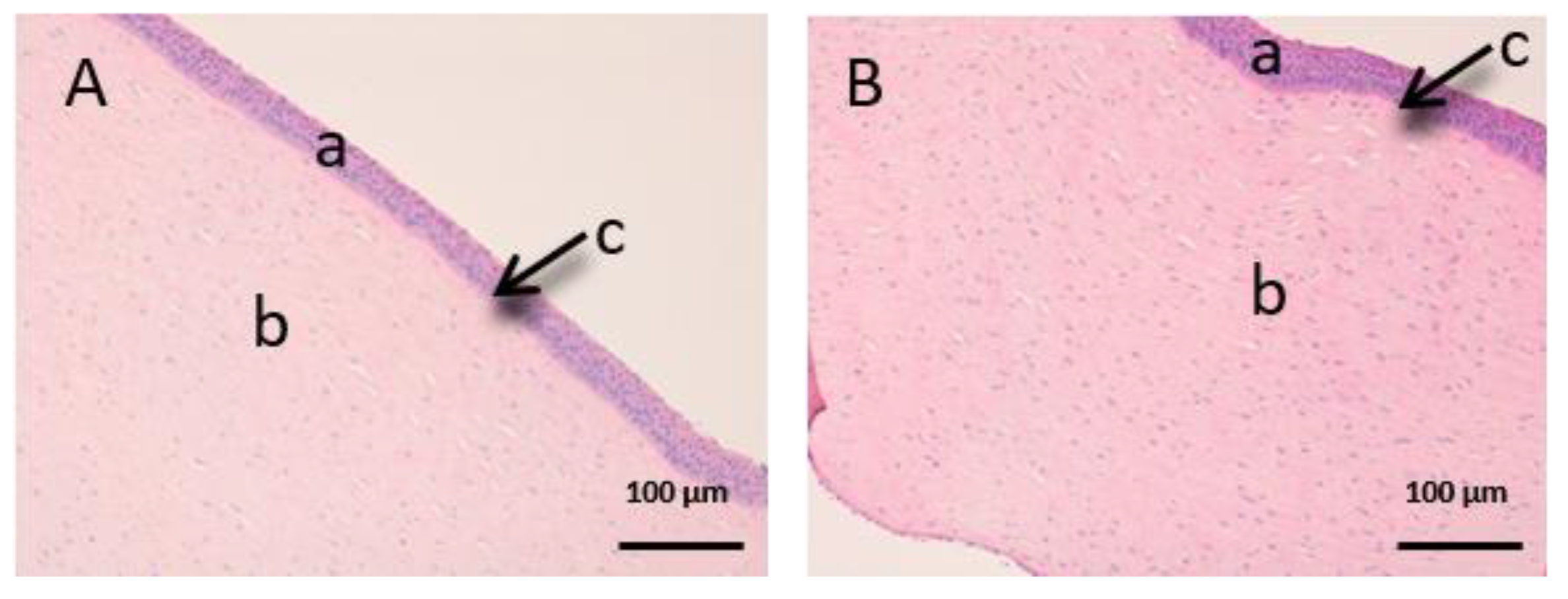 Vetsci 07 00152 g009 Vetsci 07 00152 g009
