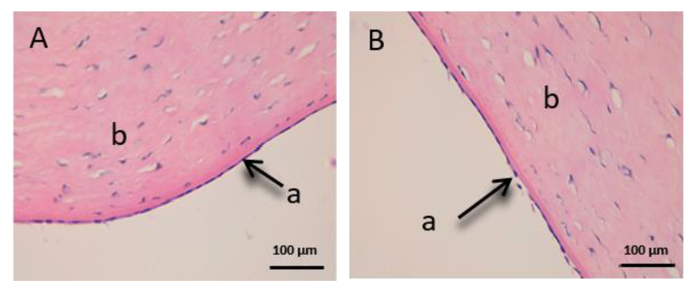 Vetsci 07 00152 g011 Vetsci 07 00152 g011