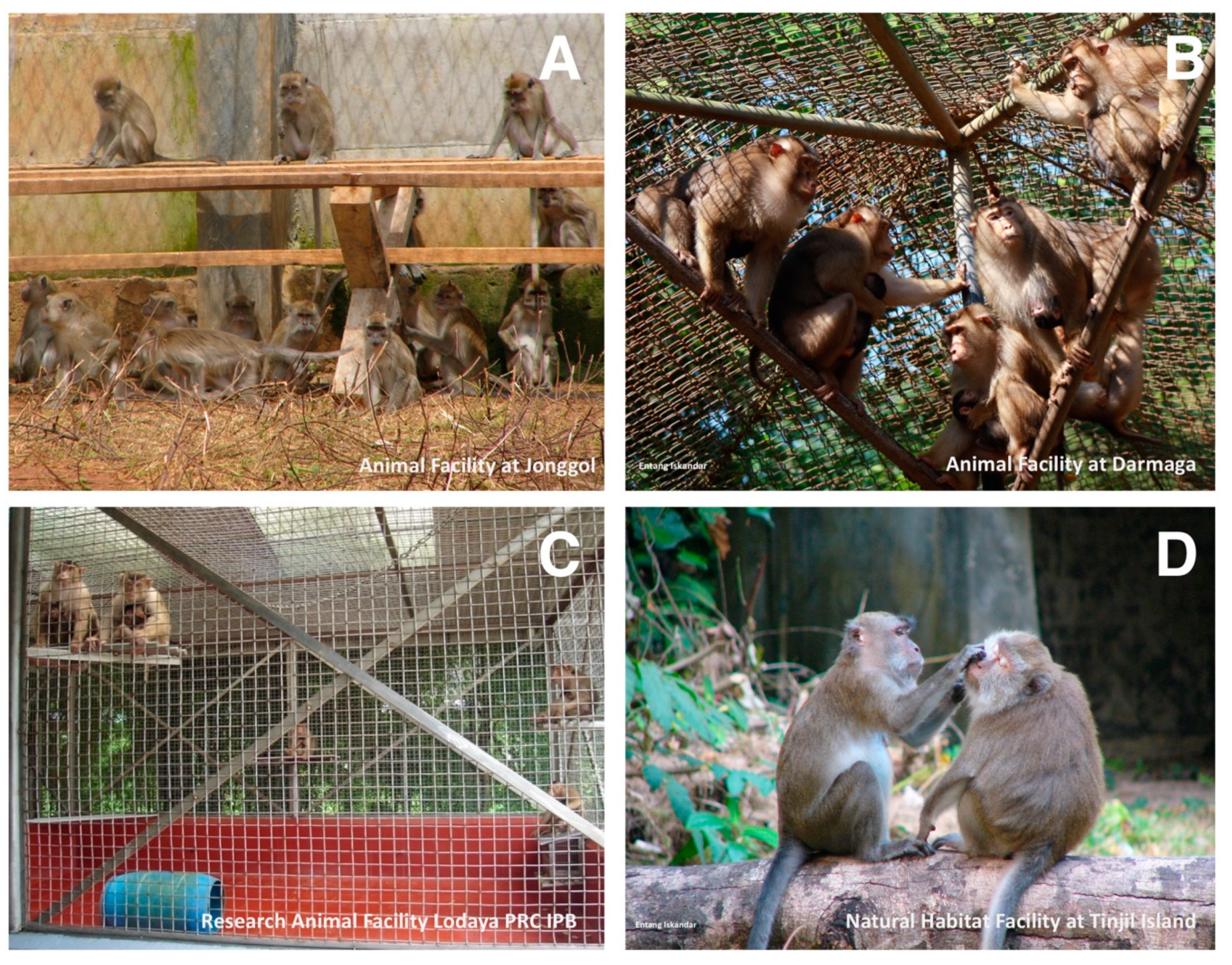 Vetsci 07 00153 g002