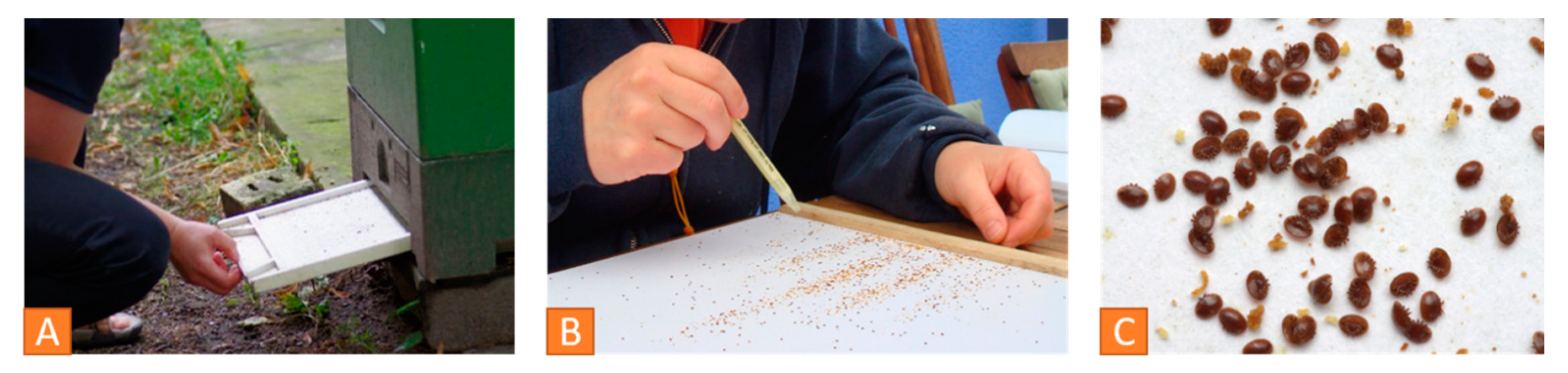 Vetsci 07 00159 g008