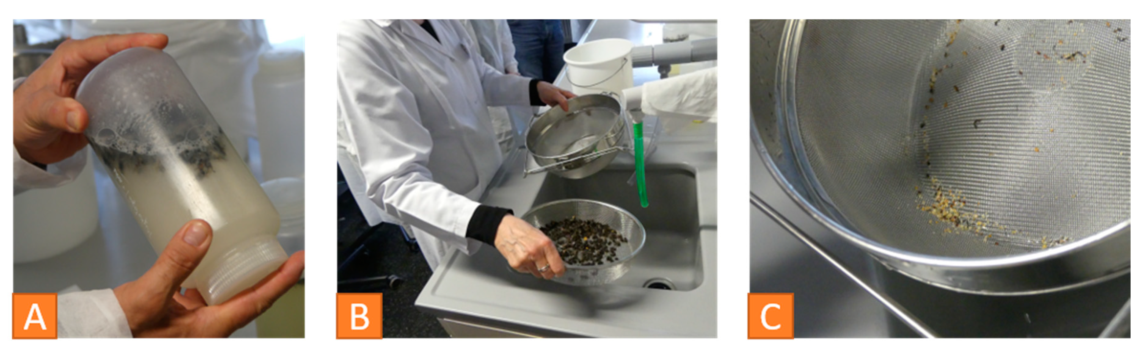 Vetsci 07 00159 g009