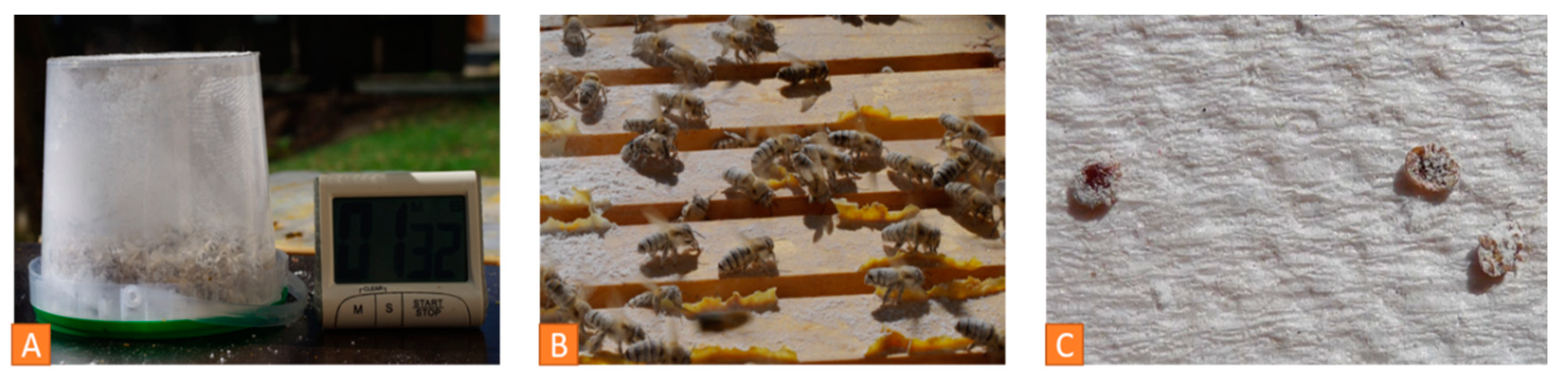 Vetsci 07 00159 g010