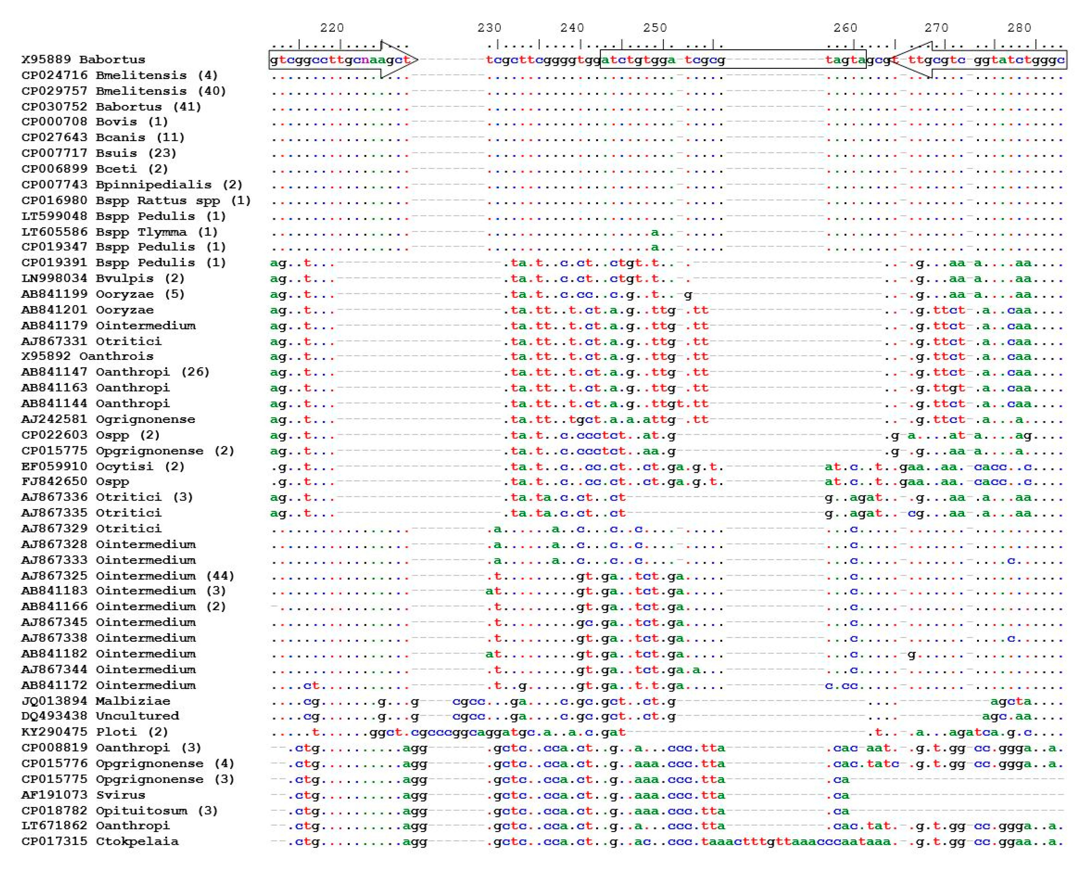 Vetsci 07 00175 g001 Vetsci 07 00175 g001