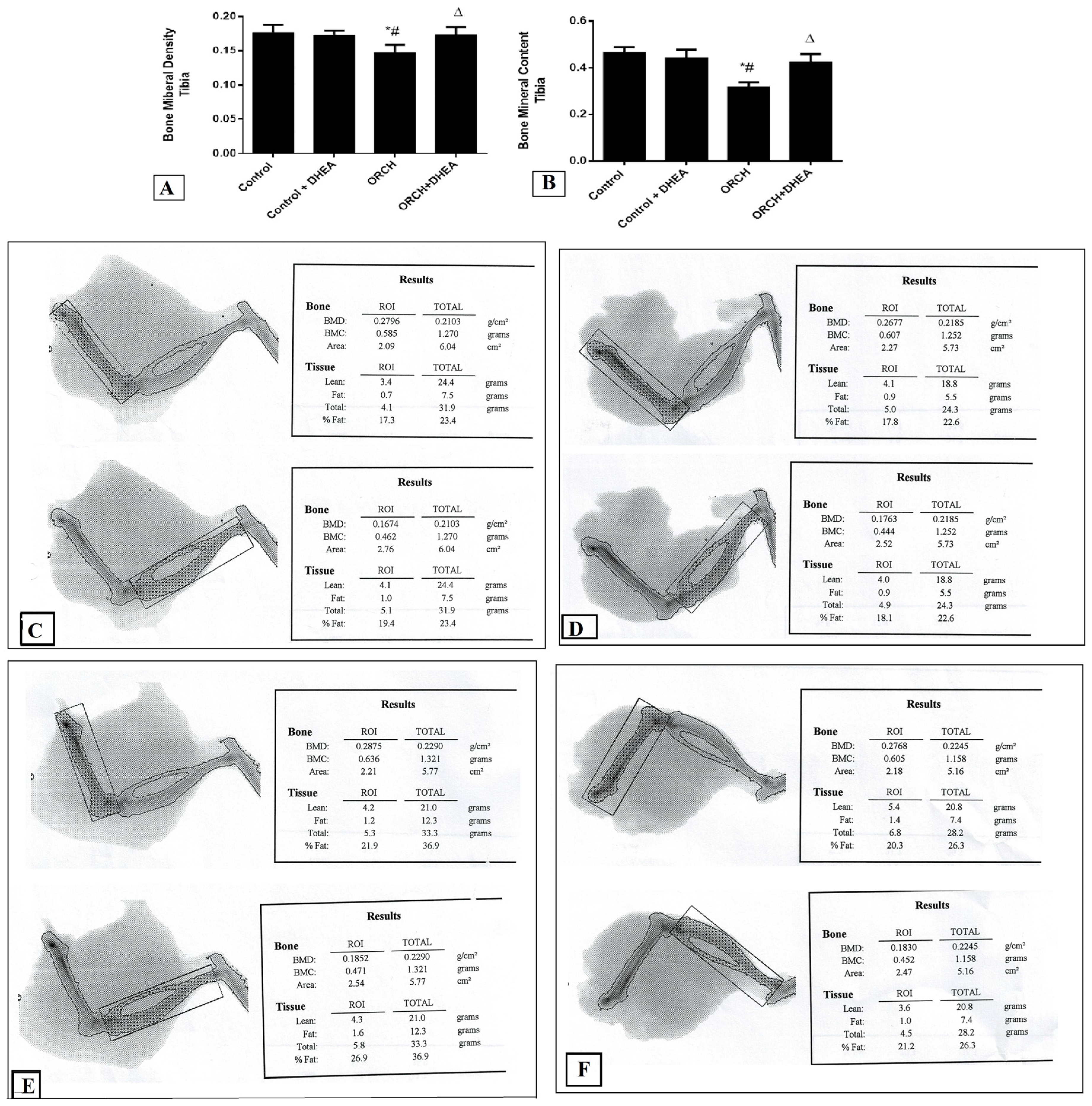 Vetsci 07 00185 g002