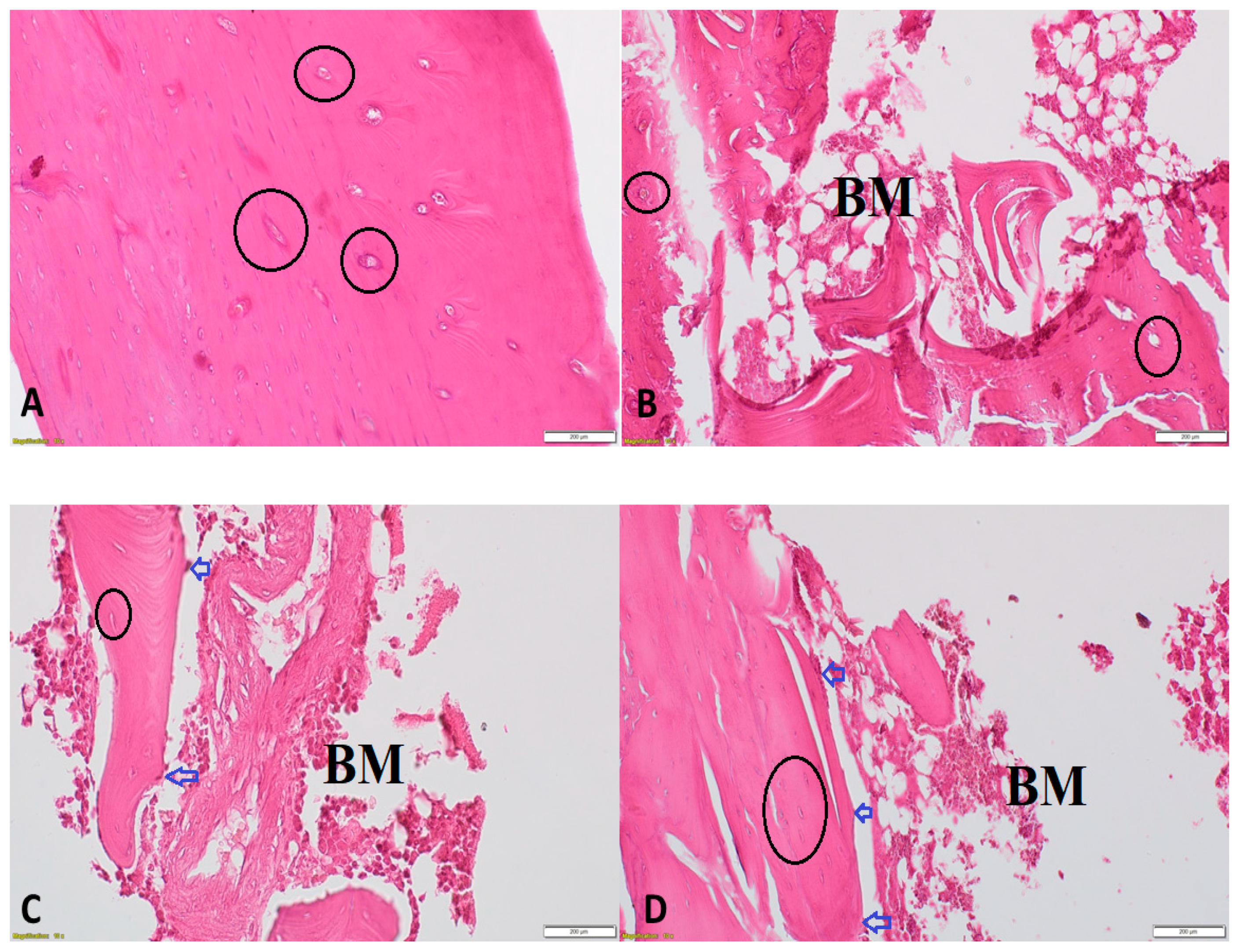 Vetsci 07 00185 g006