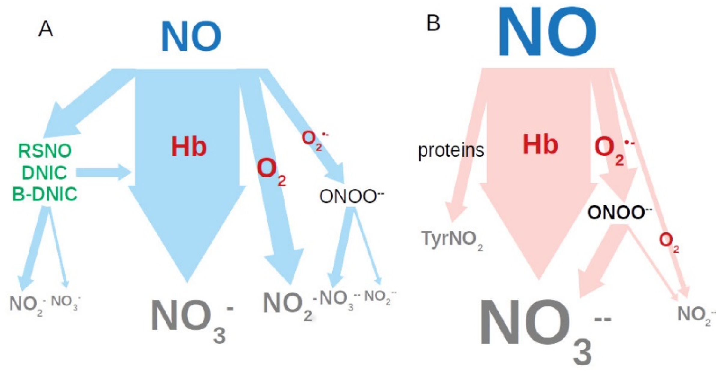Vetsci 07 00191 g005