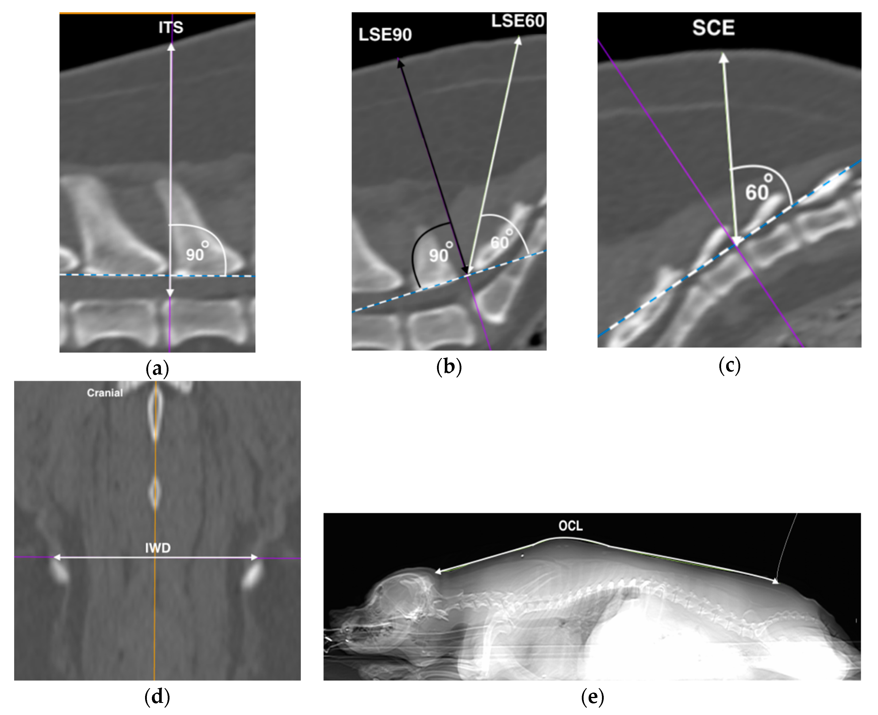 Vetsci 07 00196 g001 Vetsci 07 00196 g001