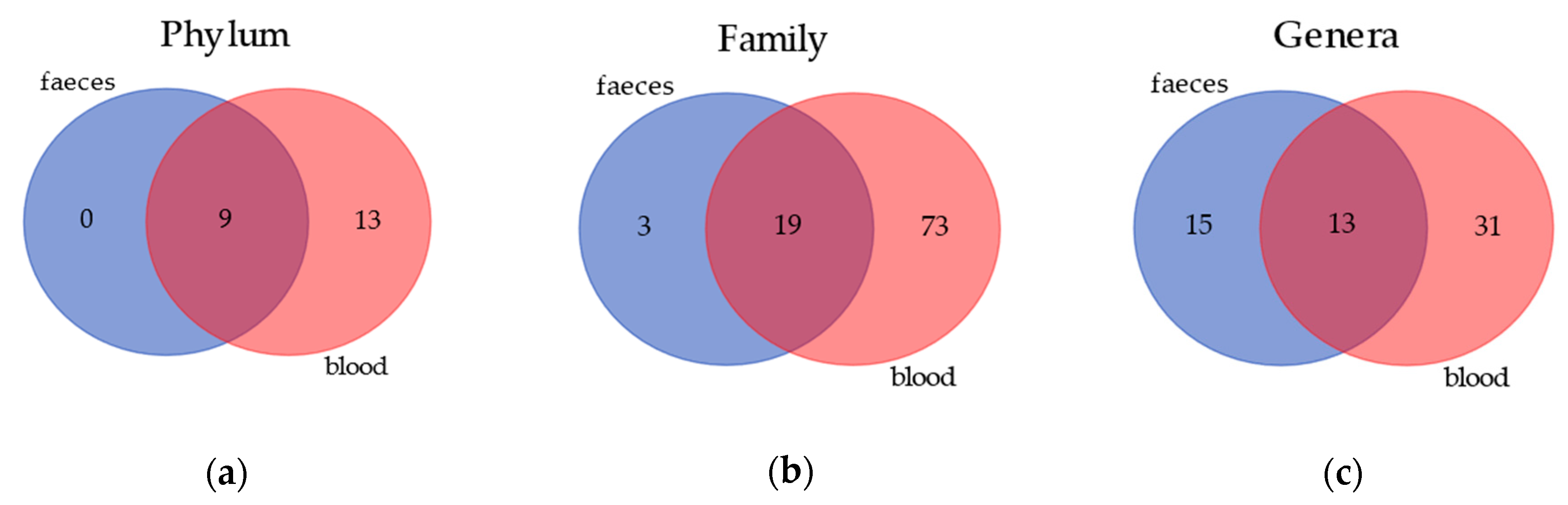 Vetsci 07 00198 g001