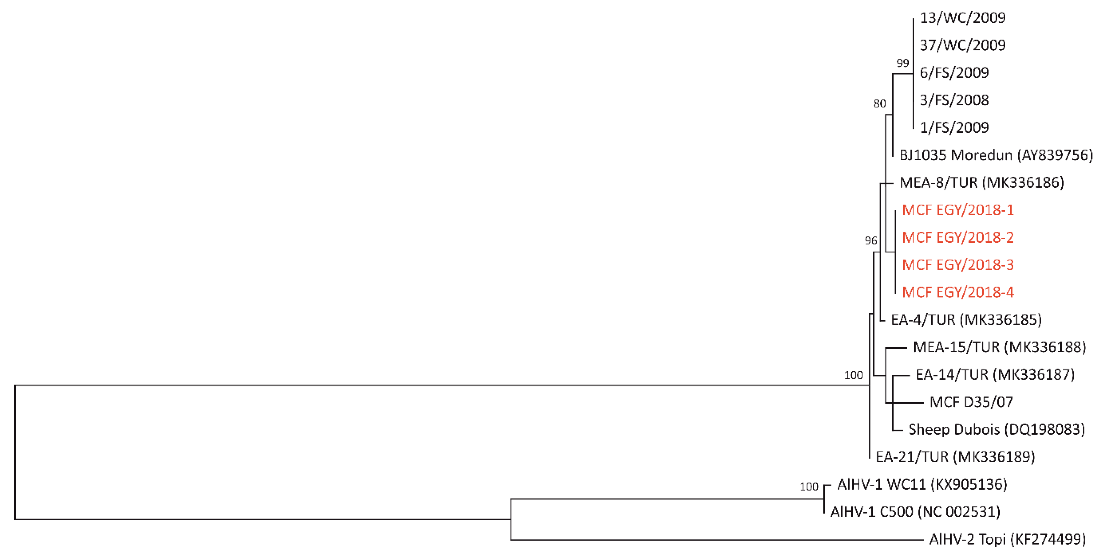 Vetsci 07 00201 g002