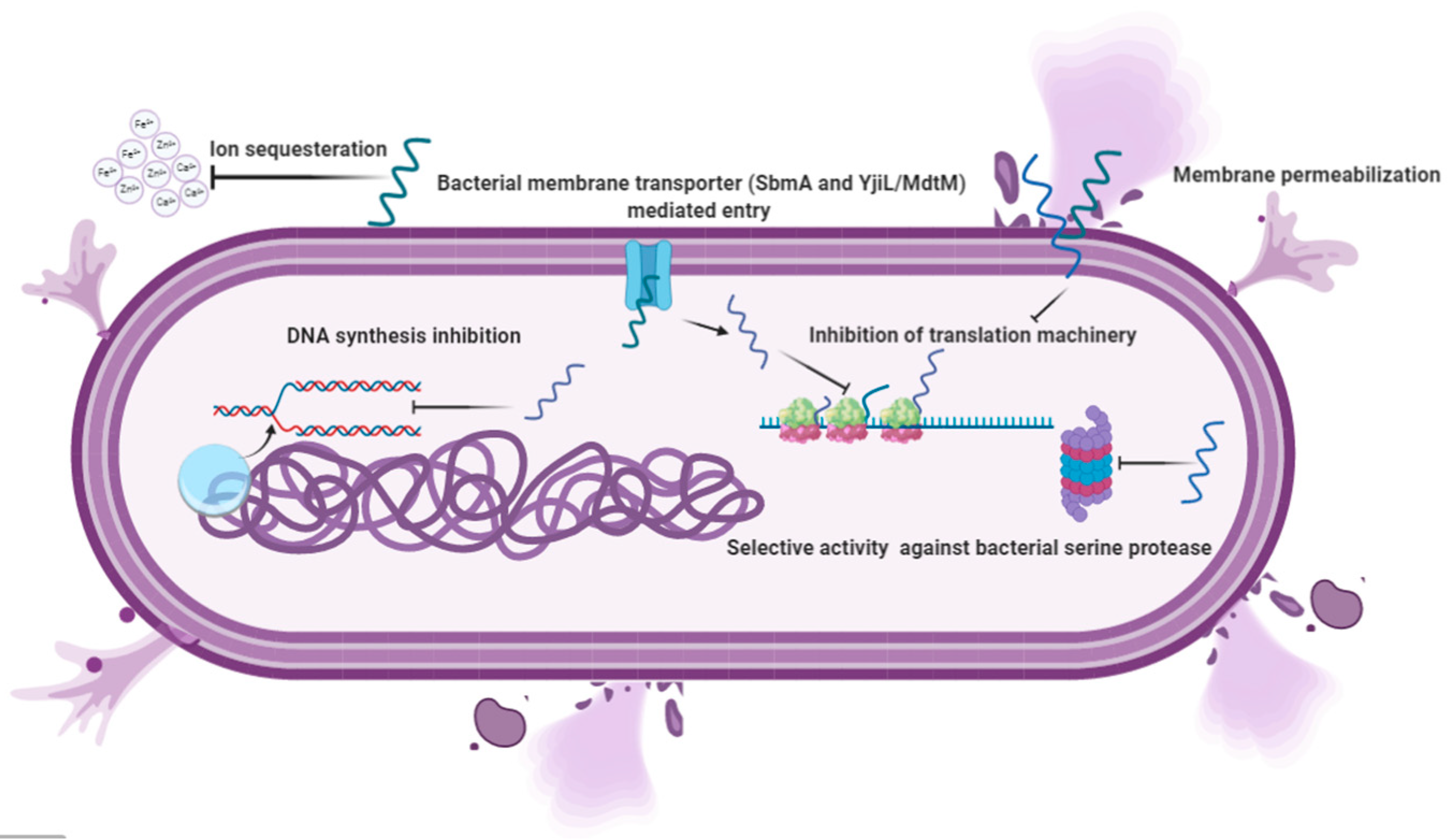 Vetsci 07 00206 g002