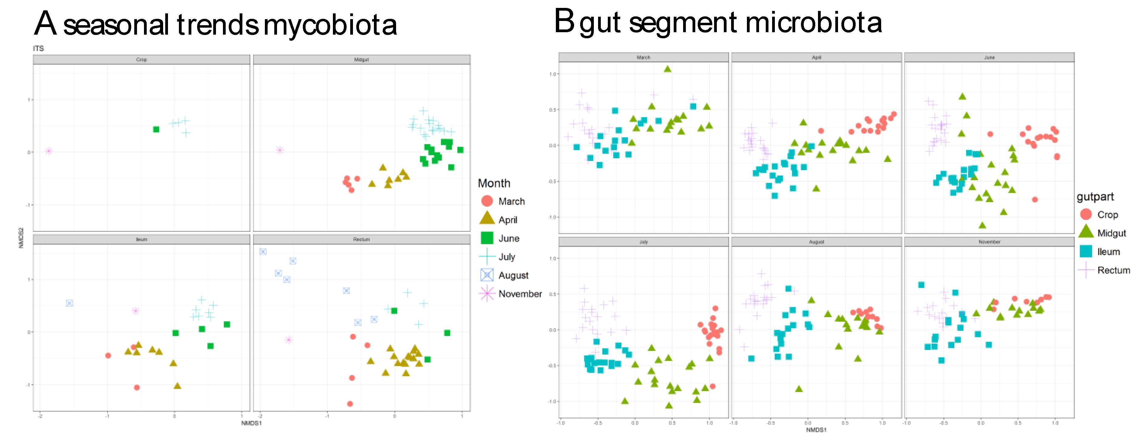 Vetsci 08 00004 g003