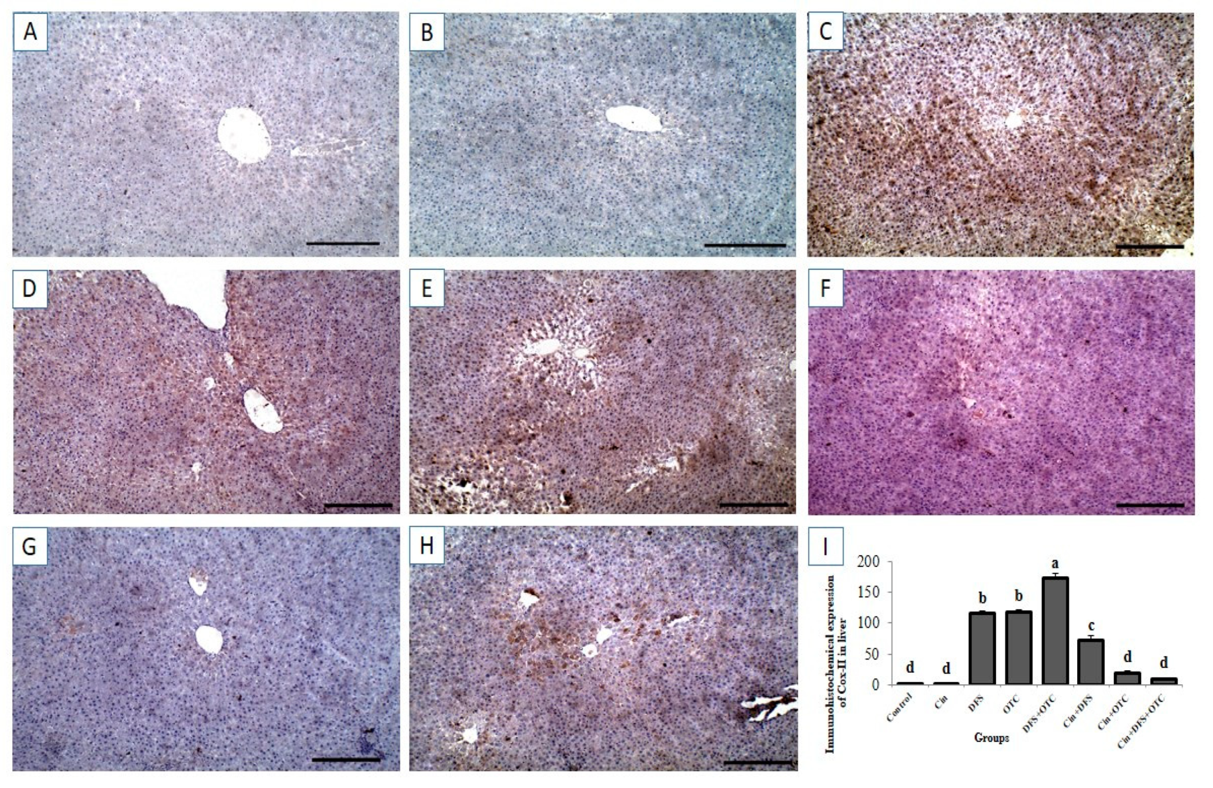 Vetsci 08 00009 g007