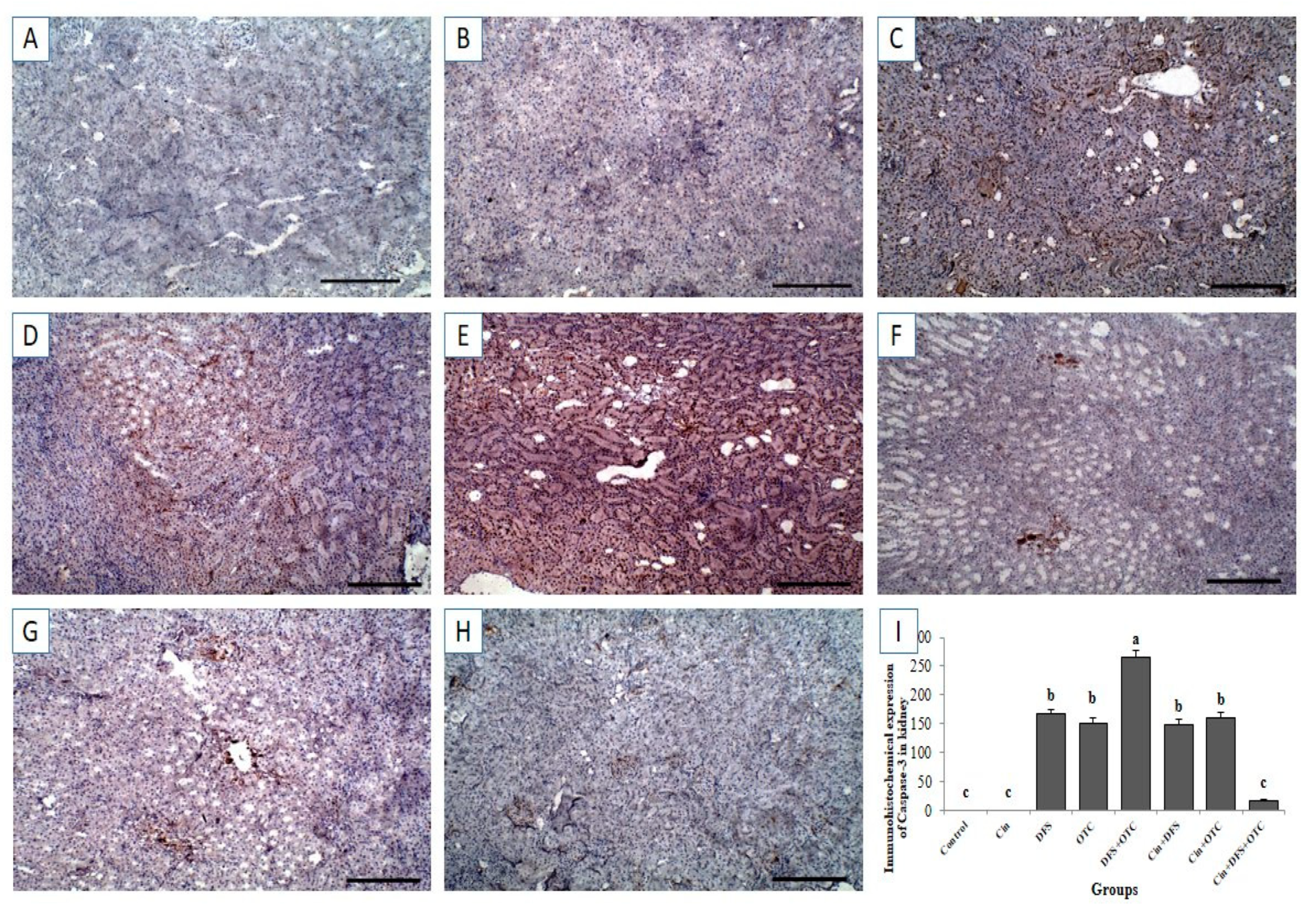 Vetsci 08 00009 g008