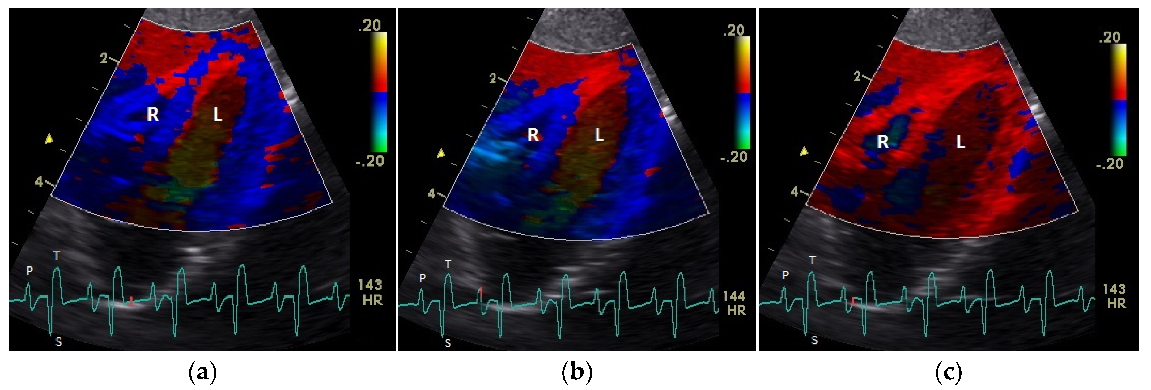 Vetsci 08 00023 g001