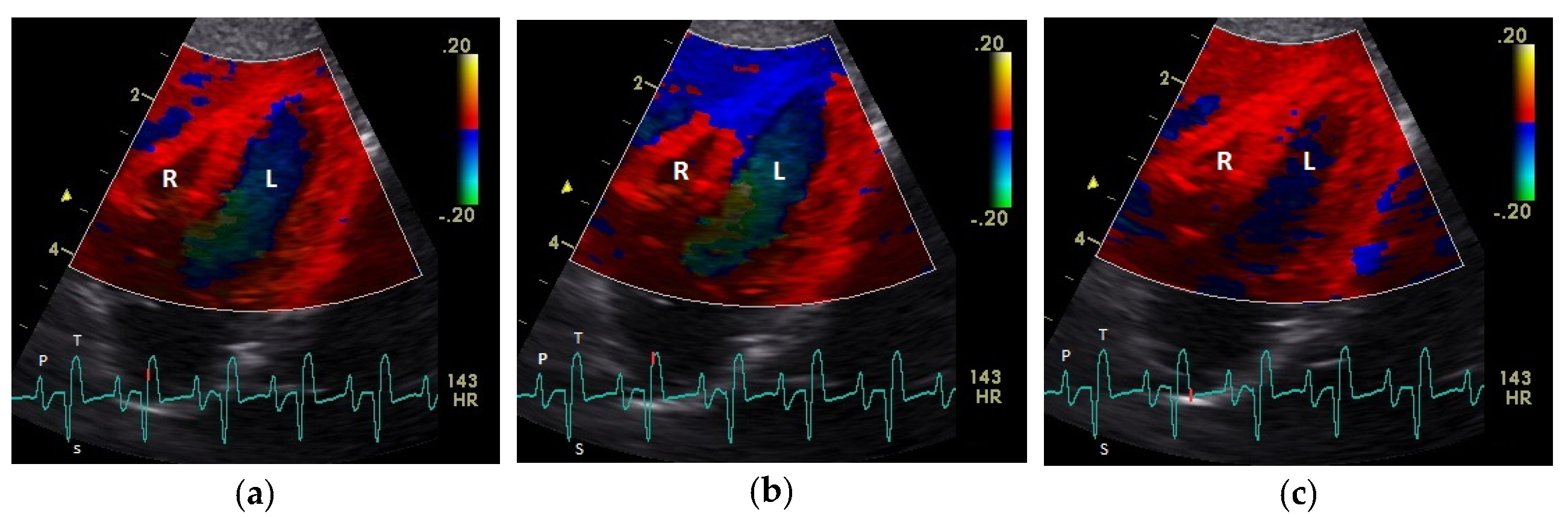 Vetsci 08 00023 g002