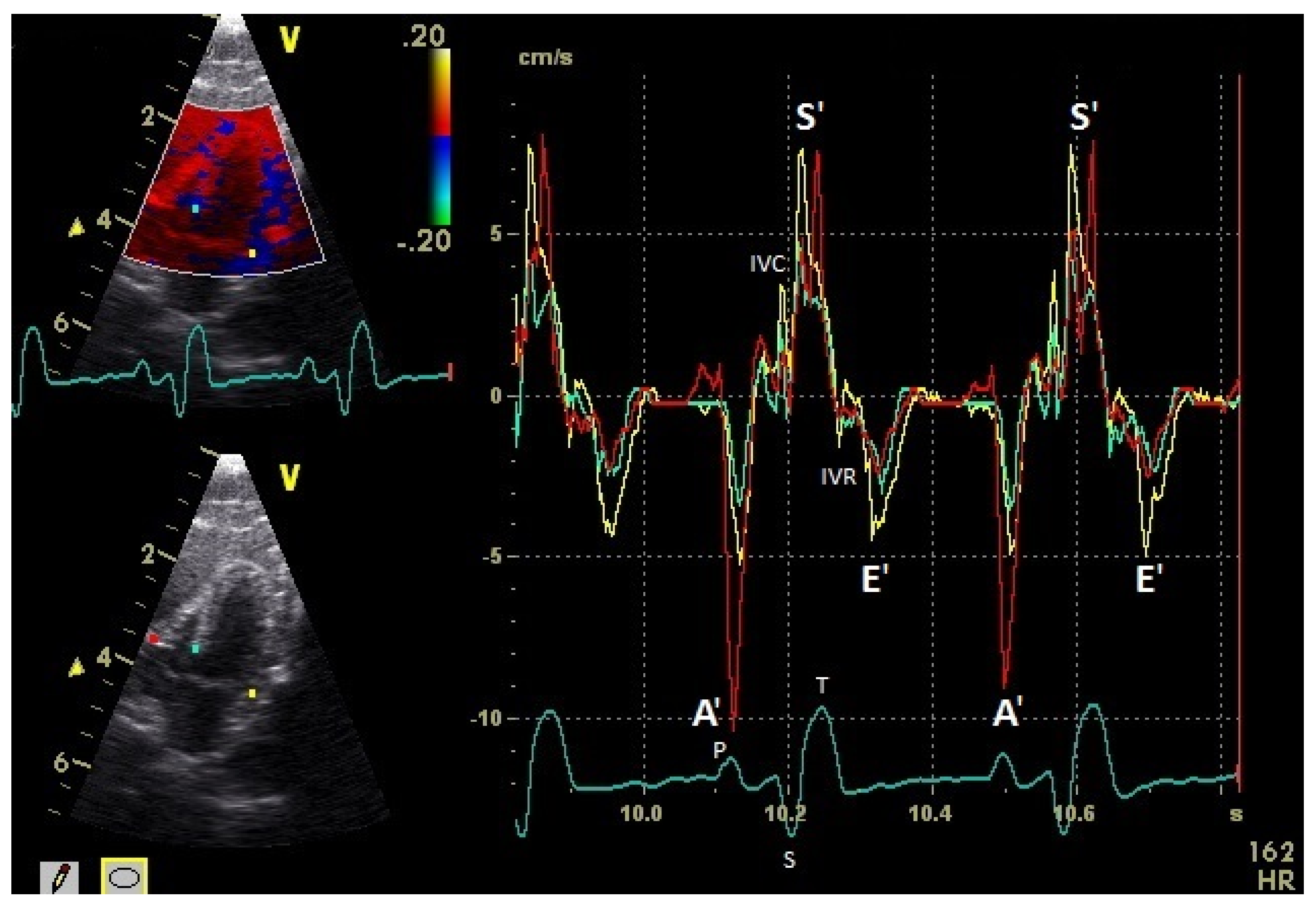 Vetsci 08 00023 g003