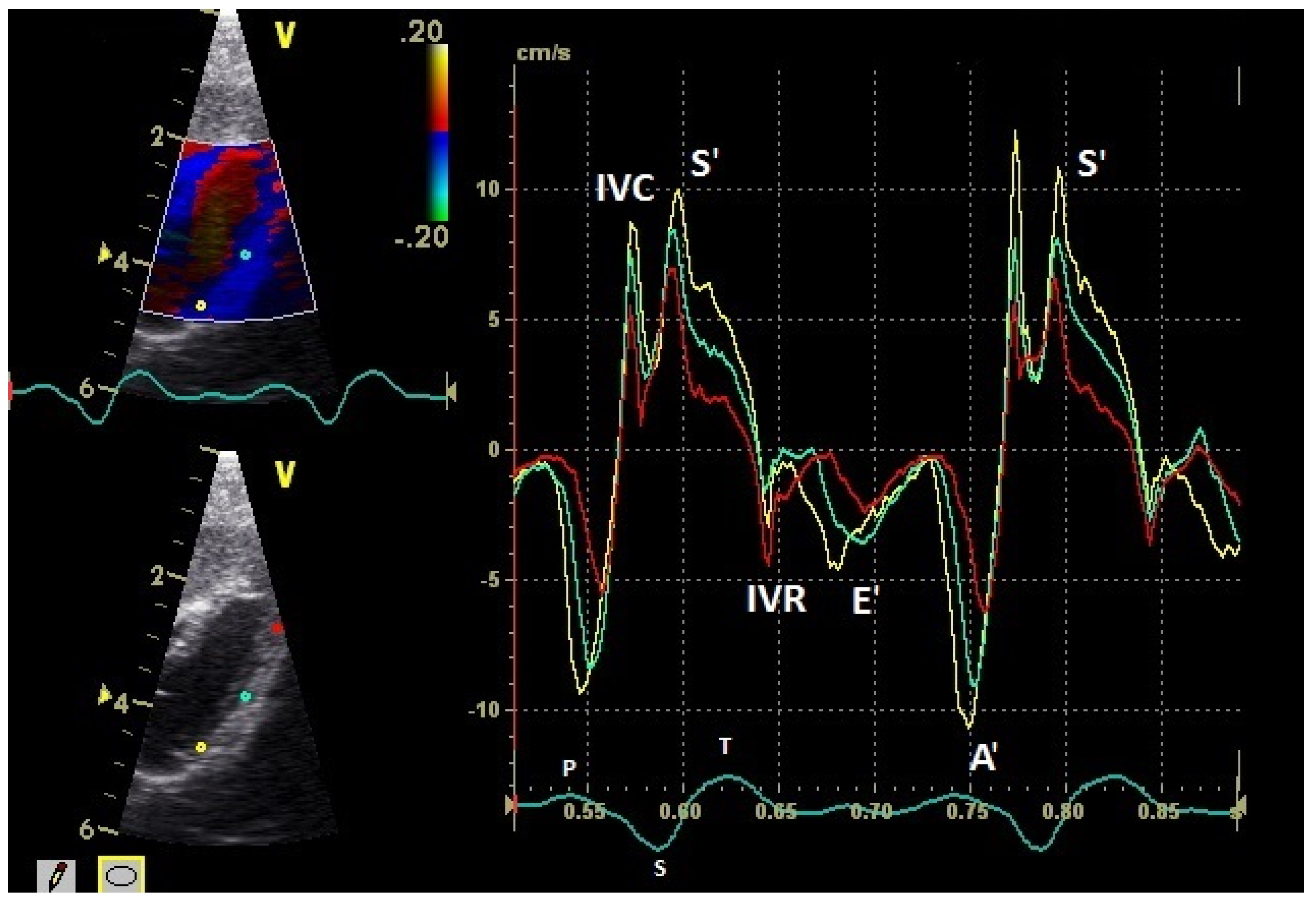 Vetsci 08 00023 g004