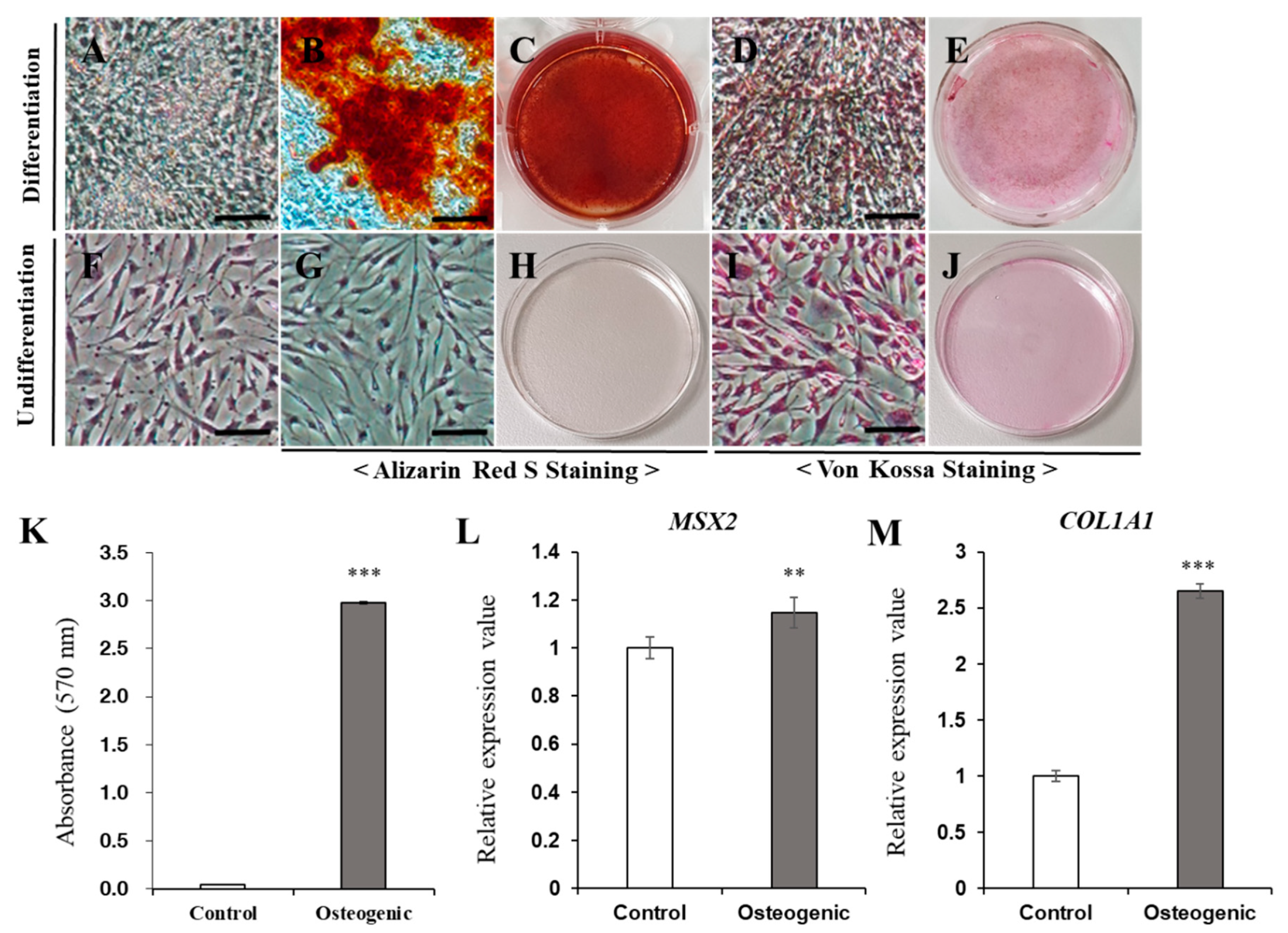Vetsci 08 00024 g003
