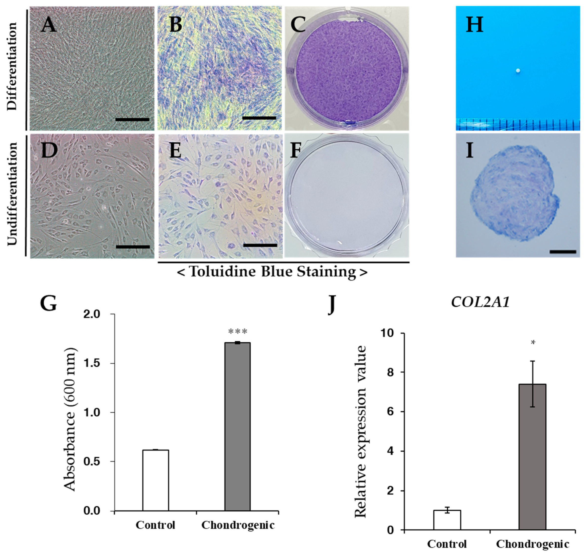 Vetsci 08 00024 g005