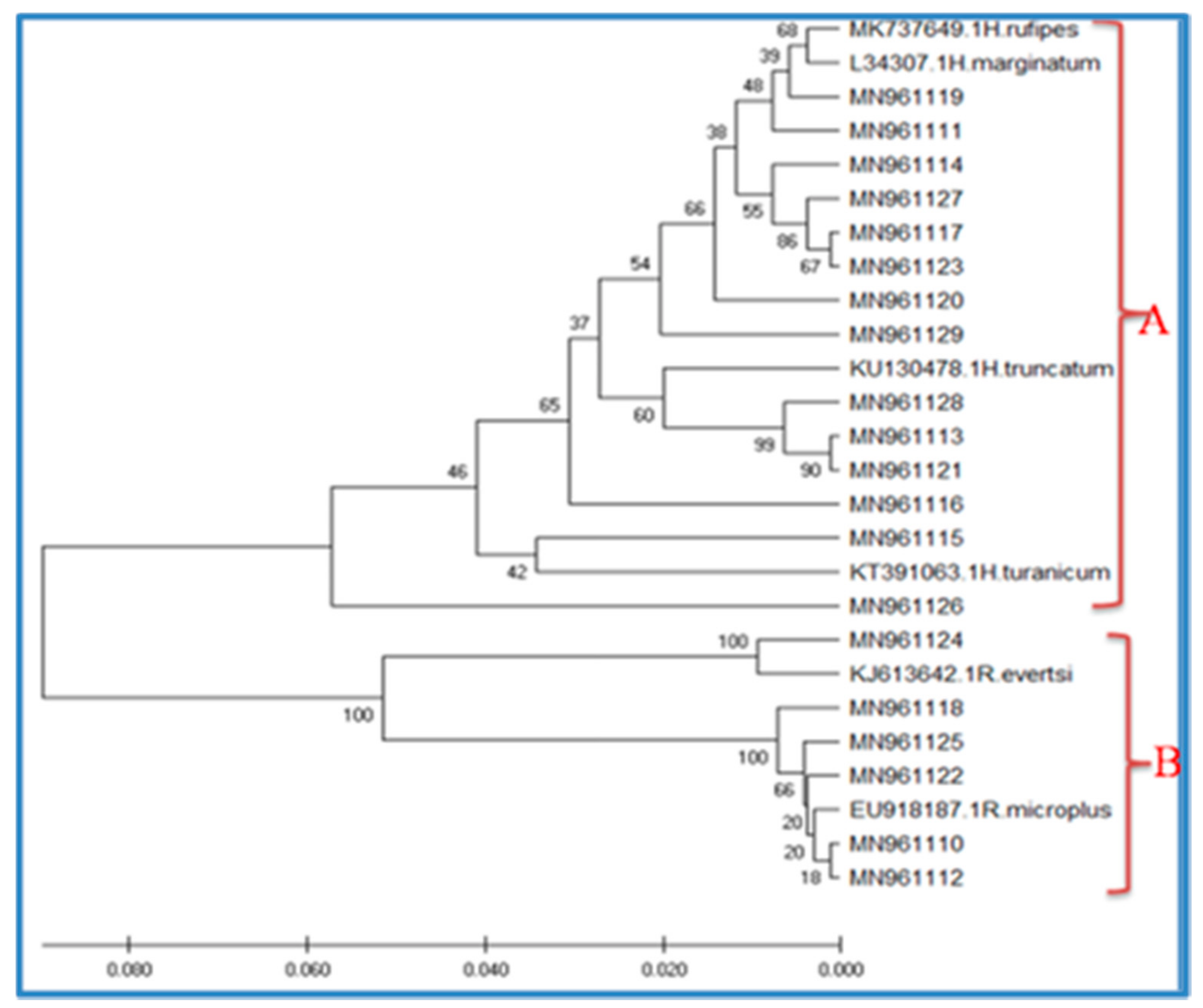 Vetsci 08 00036 g002