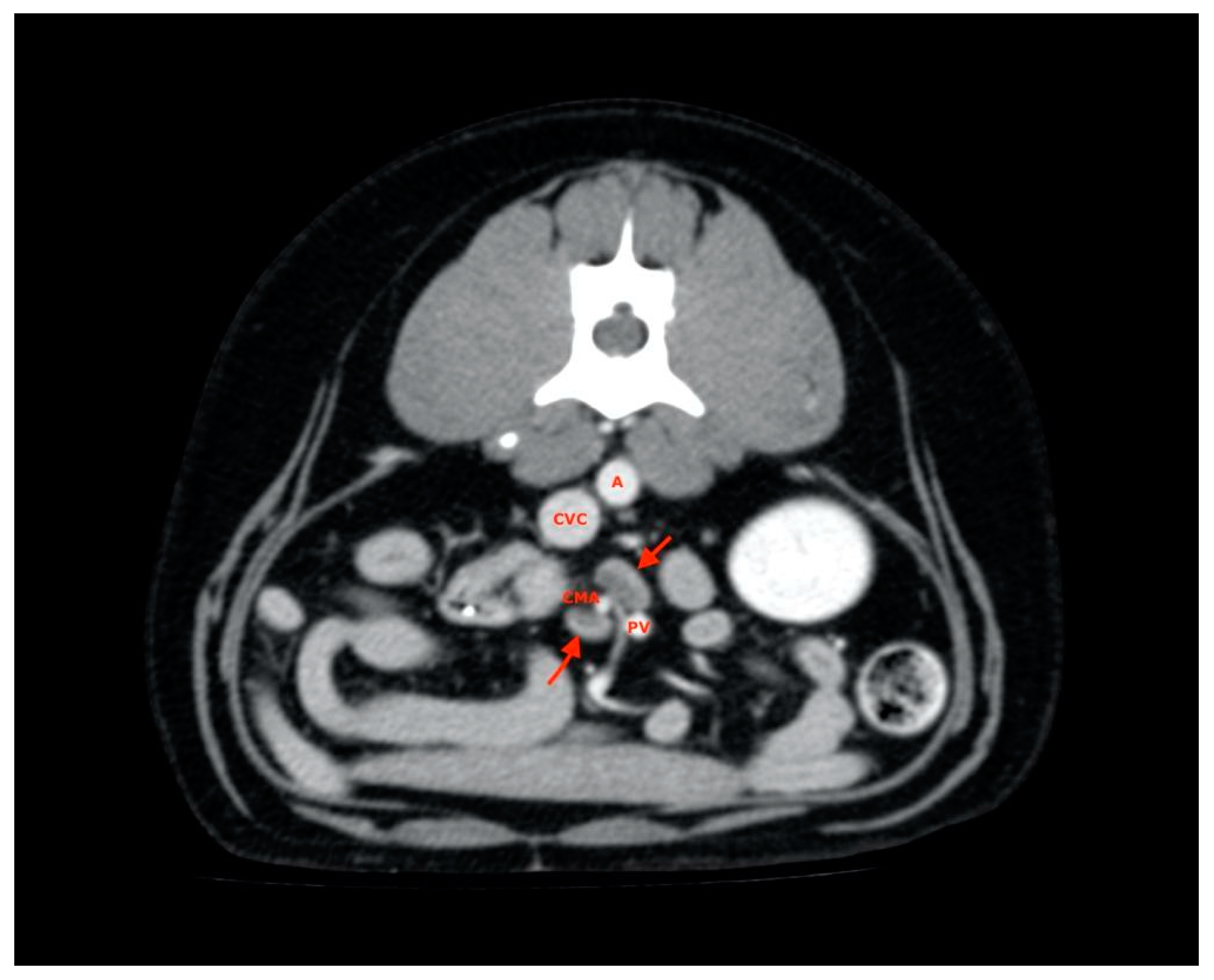 Vetsci 08 00044 g007