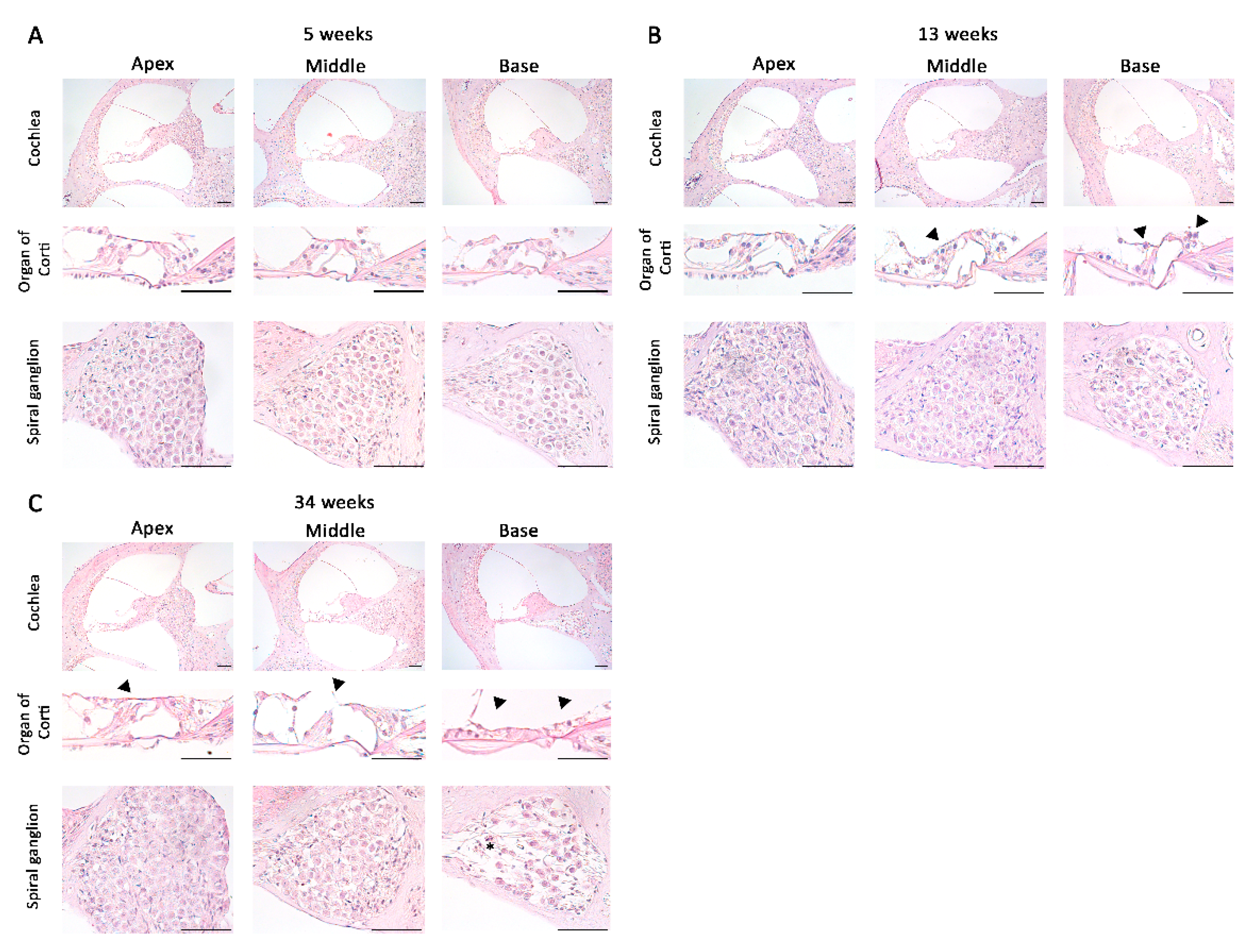 Vetsci 08 00049 g002