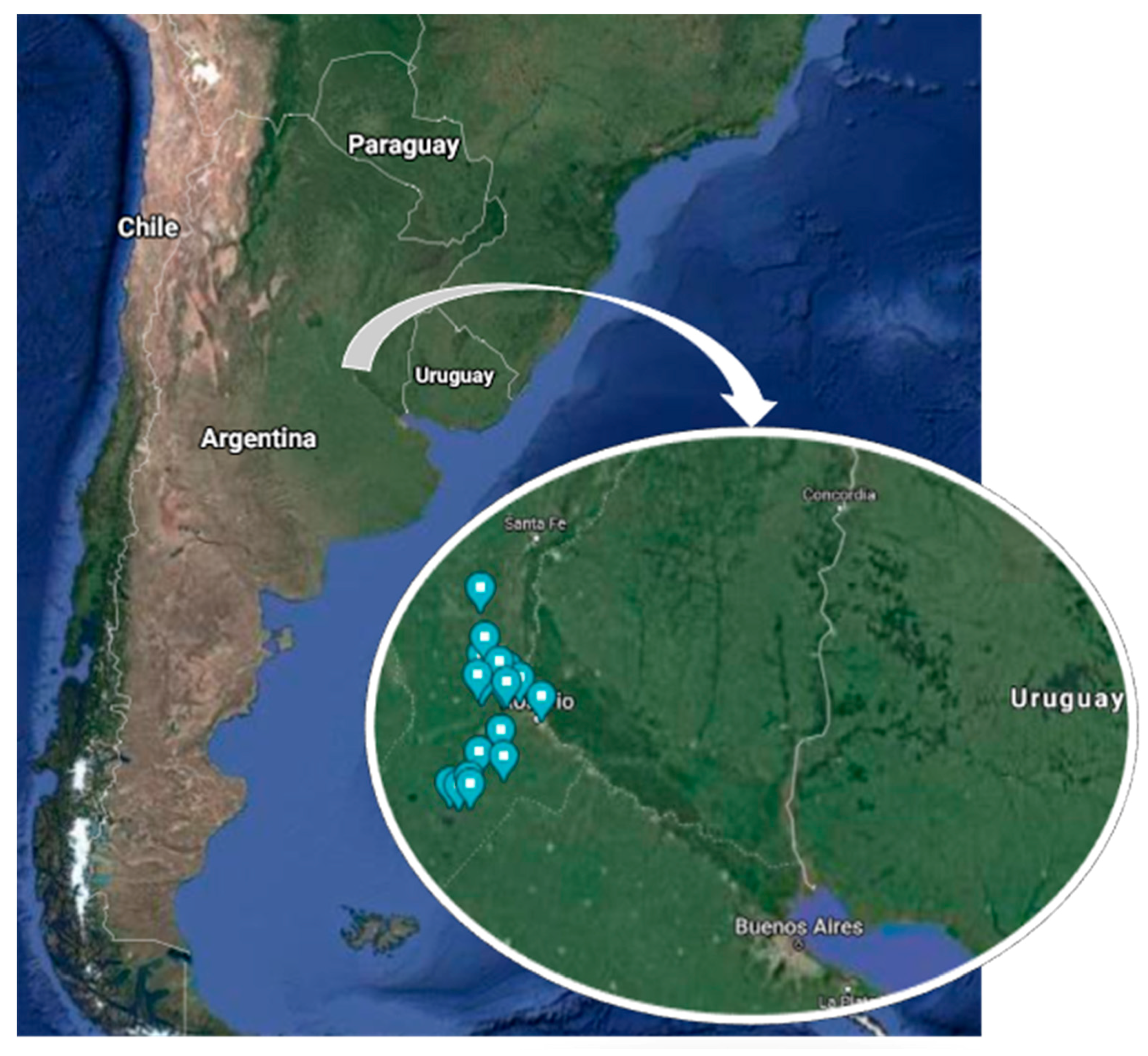 Vetsci 08 00076 g001