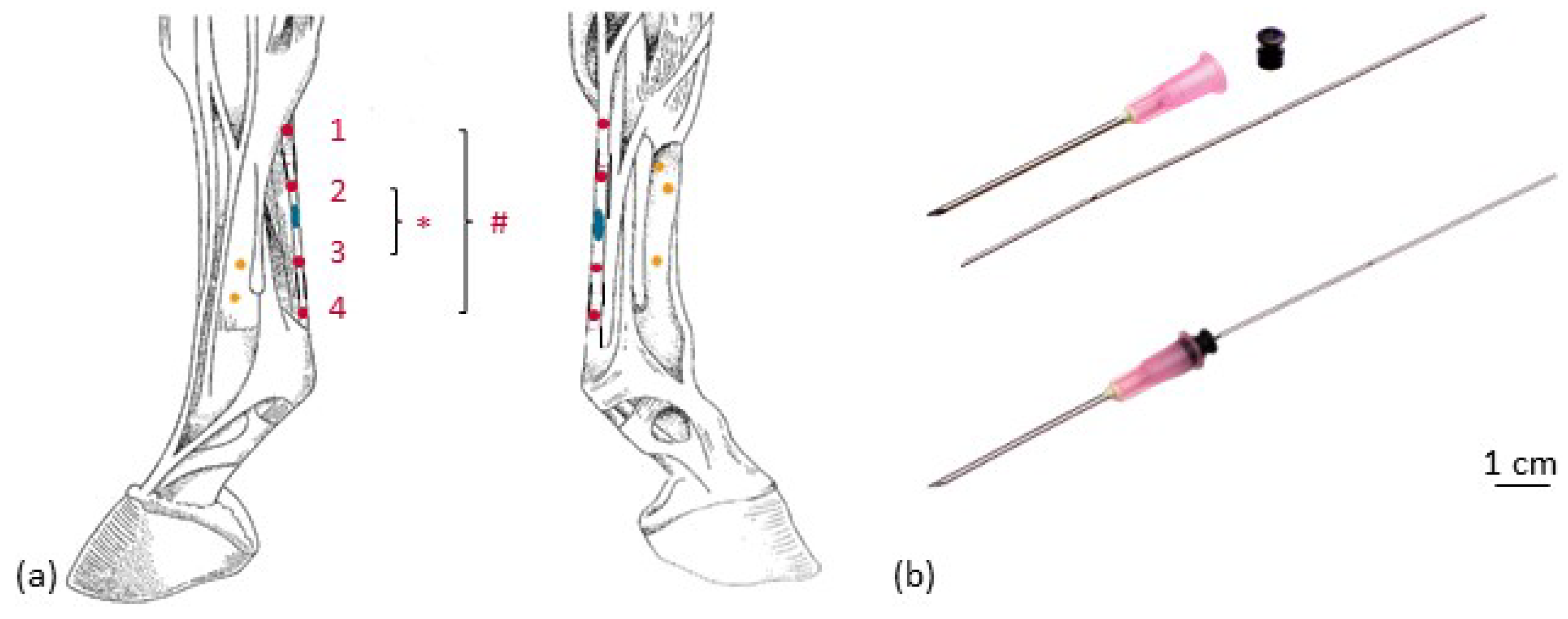 Vetsci 08 00092 g003