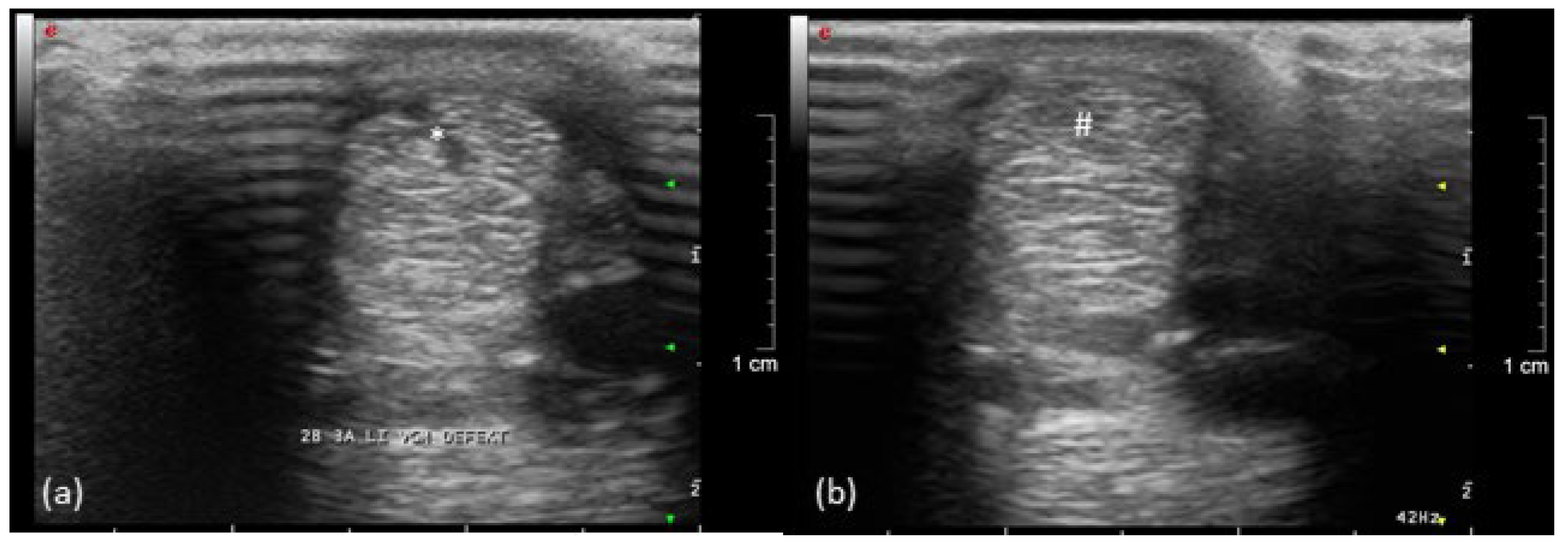 Vetsci 08 00092 g004