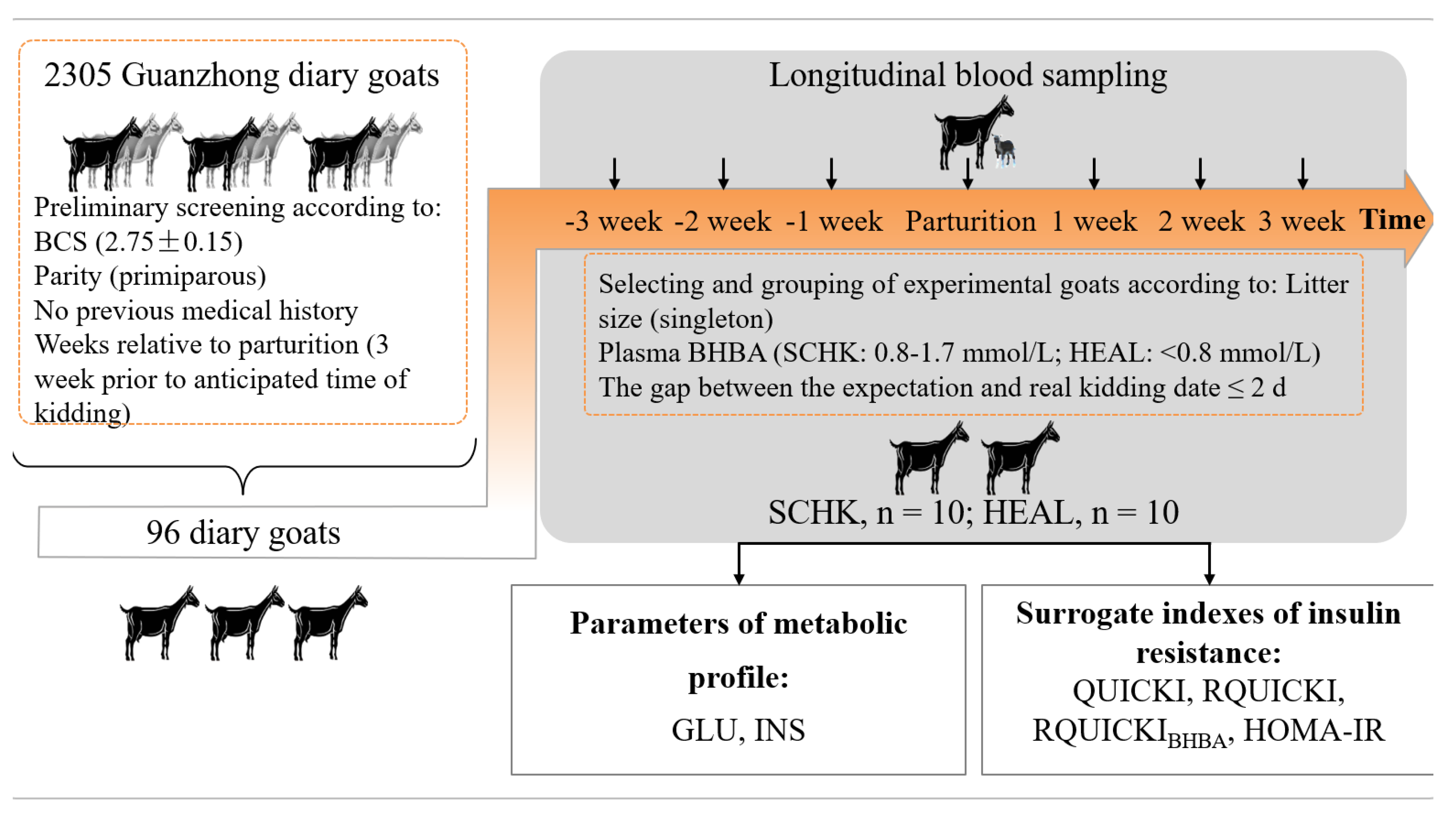 Vetsci 08 00102 g001