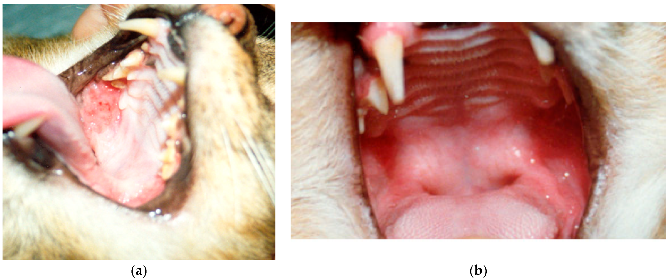 Vetsci 08 00109 g001