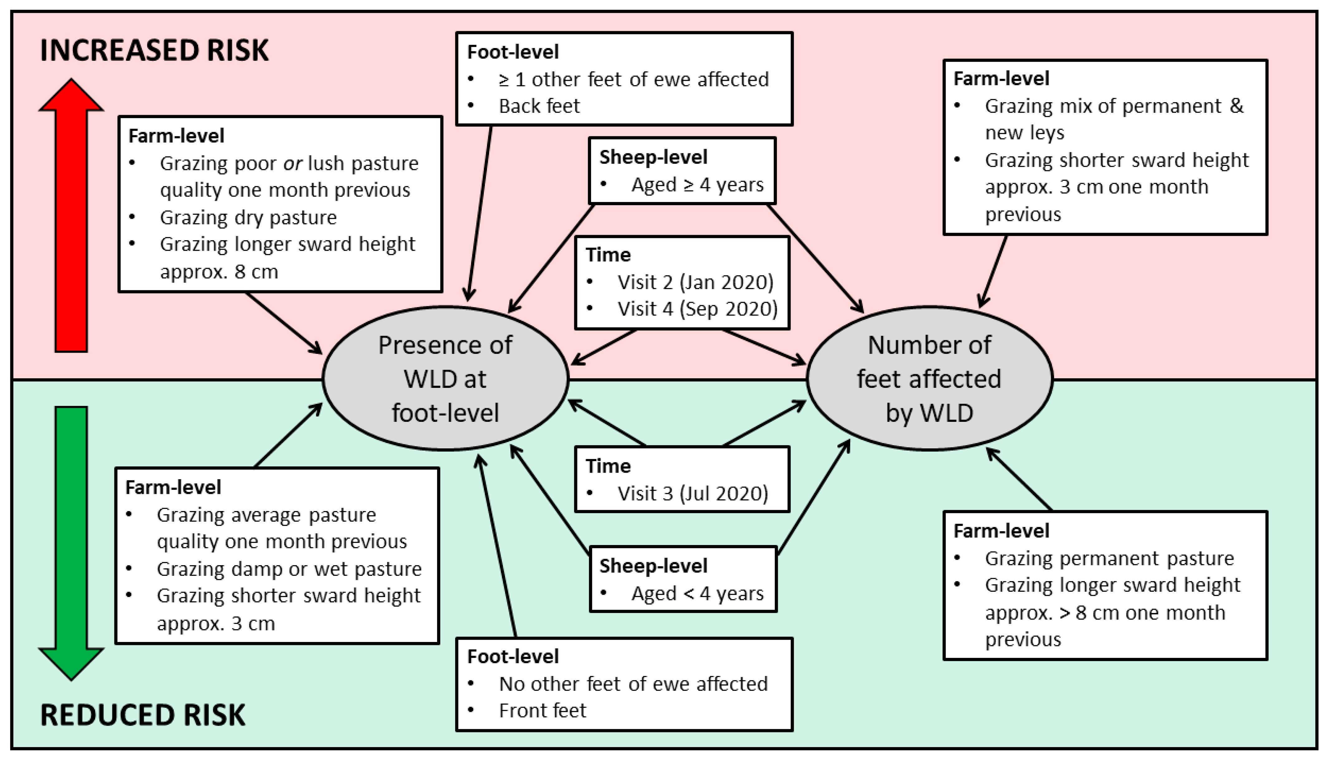 Vetsci 08 00116 g003