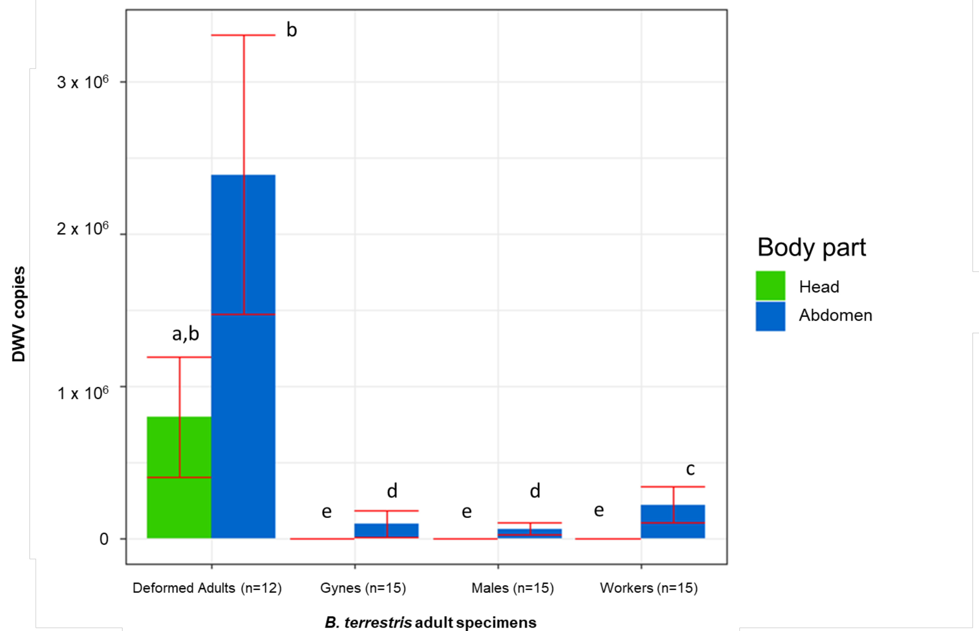 Vetsci 08 00117 g004